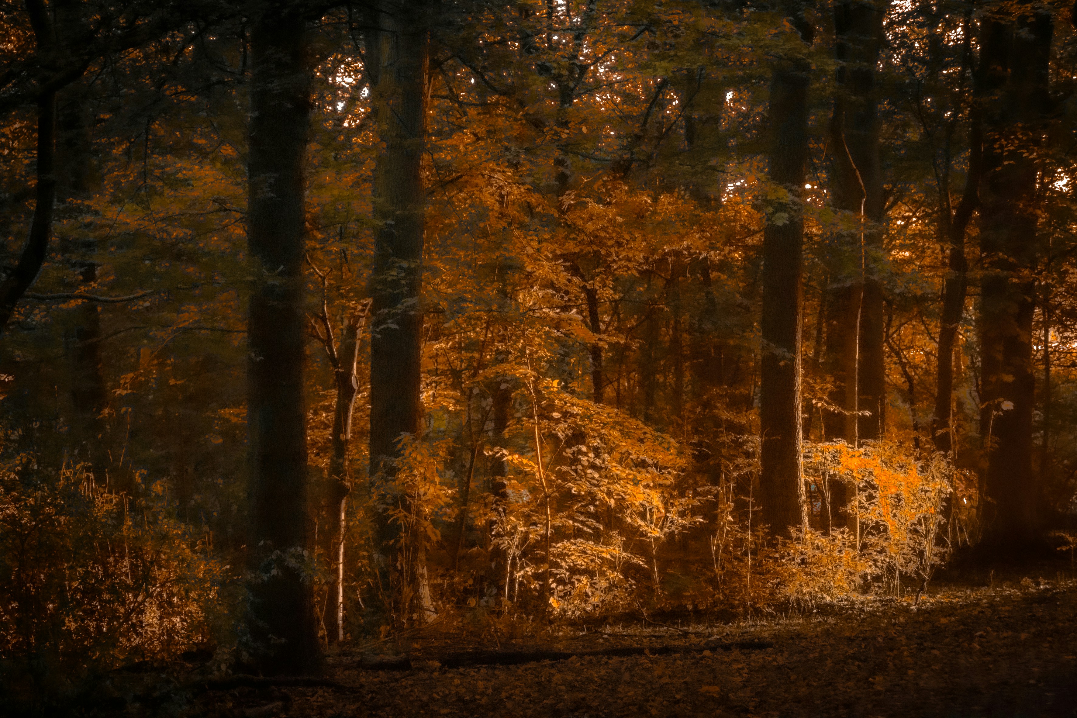 Photo by ruudslinger