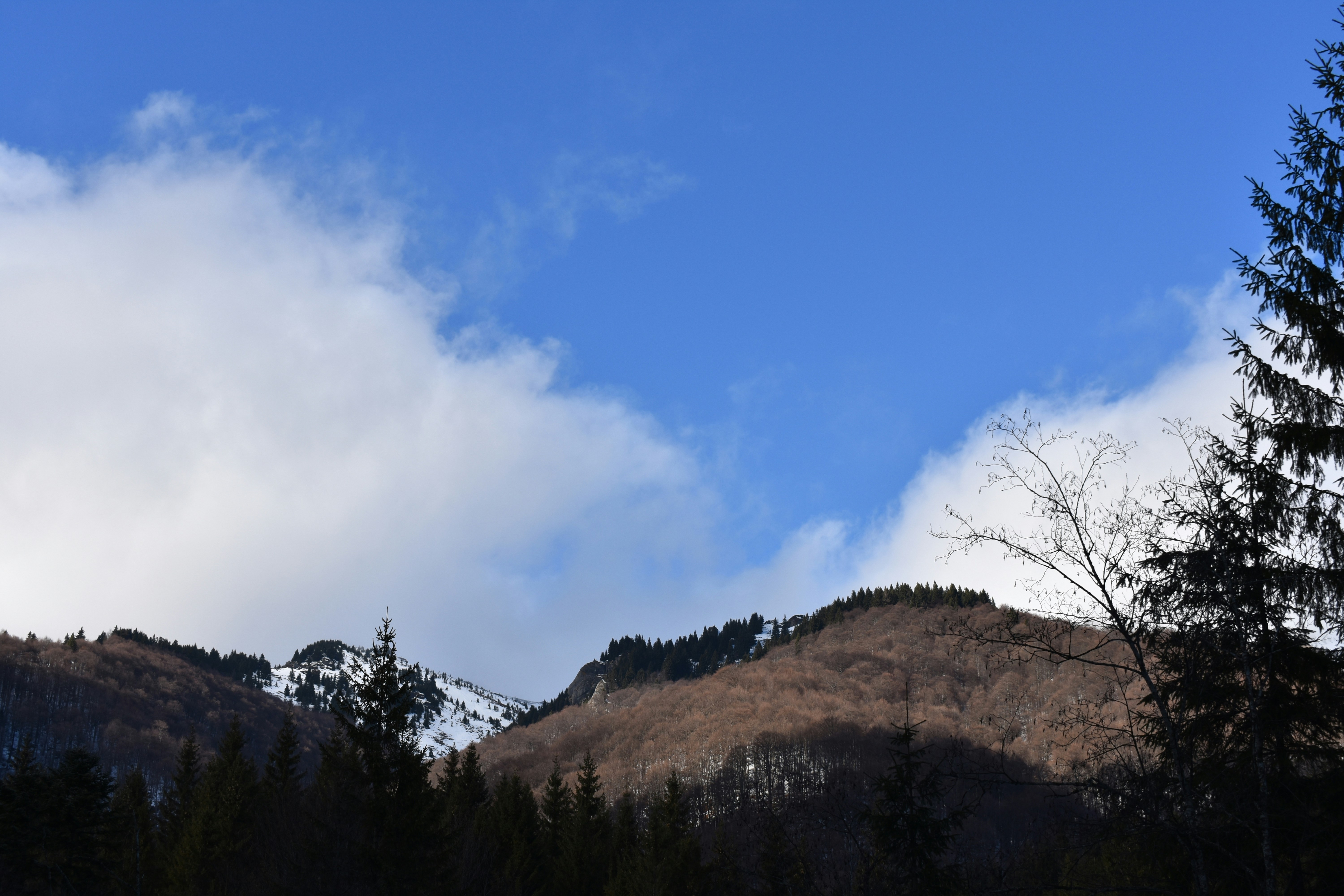 Photo by toamna