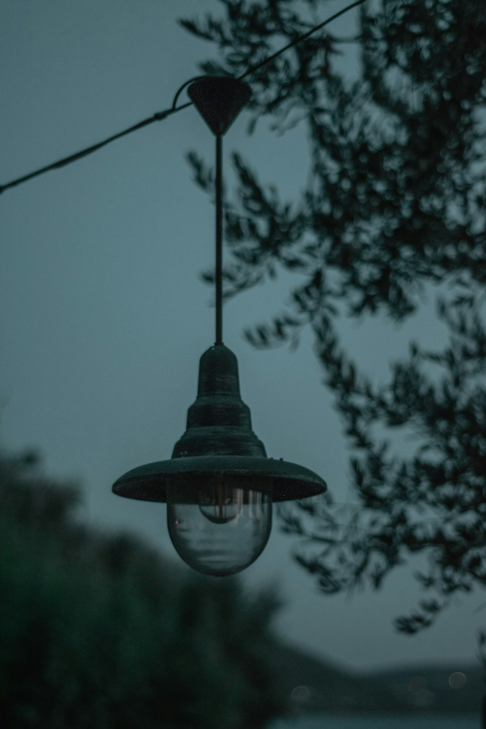a light hanging from a wire next to a tree