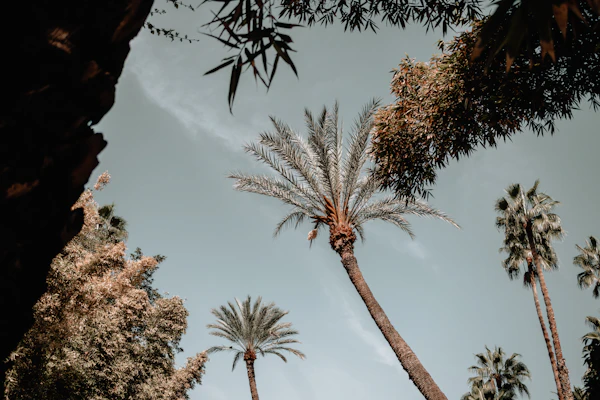حديقة ماجوريل – 4