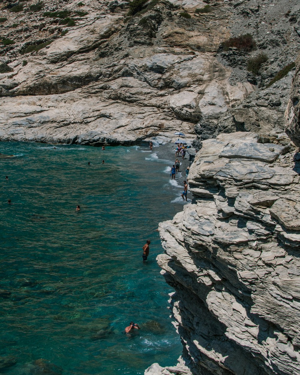 a group of people swimming in a body of water