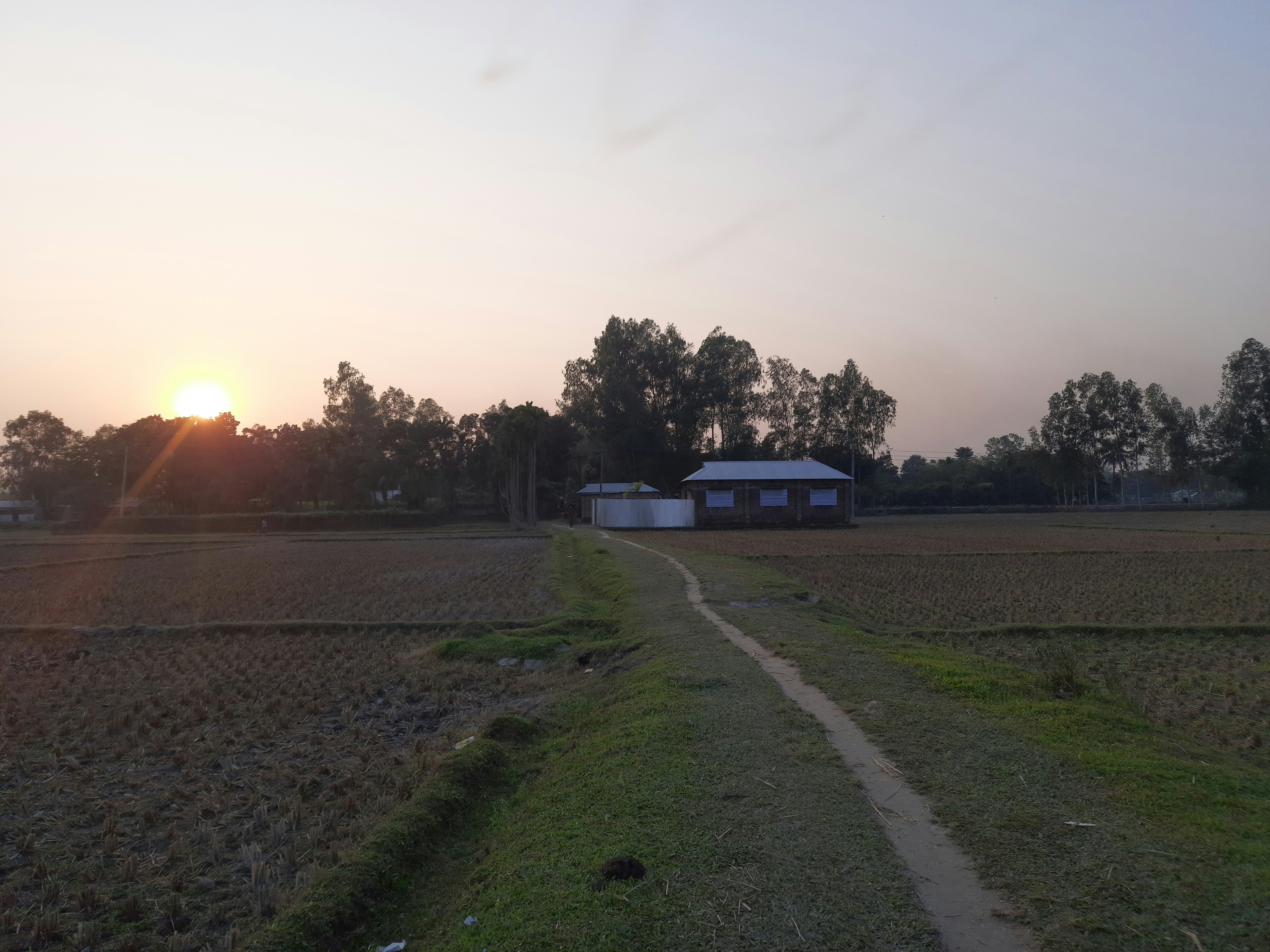 Sunset over farm field