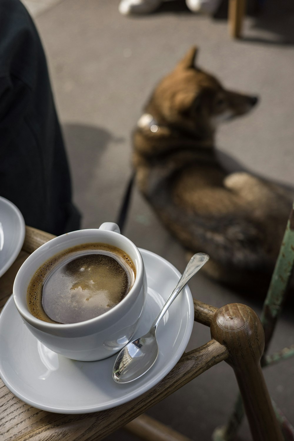 a cup of coffee on a table next to a dog