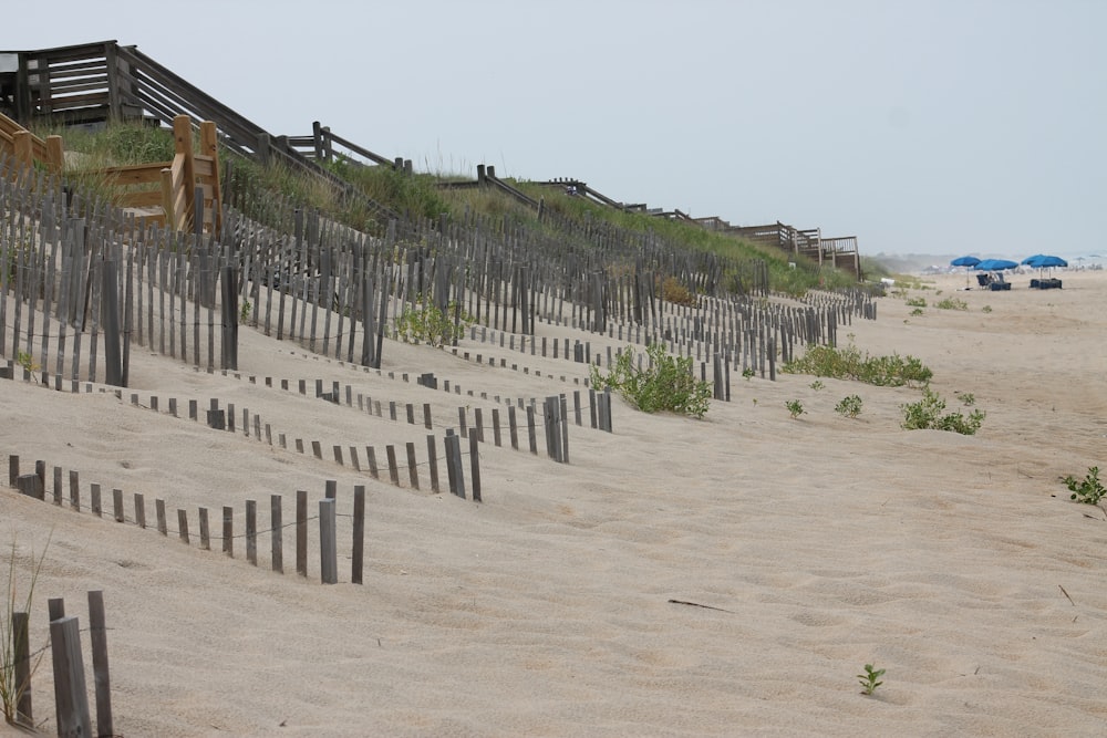 a row of beach fences on a sandy beach