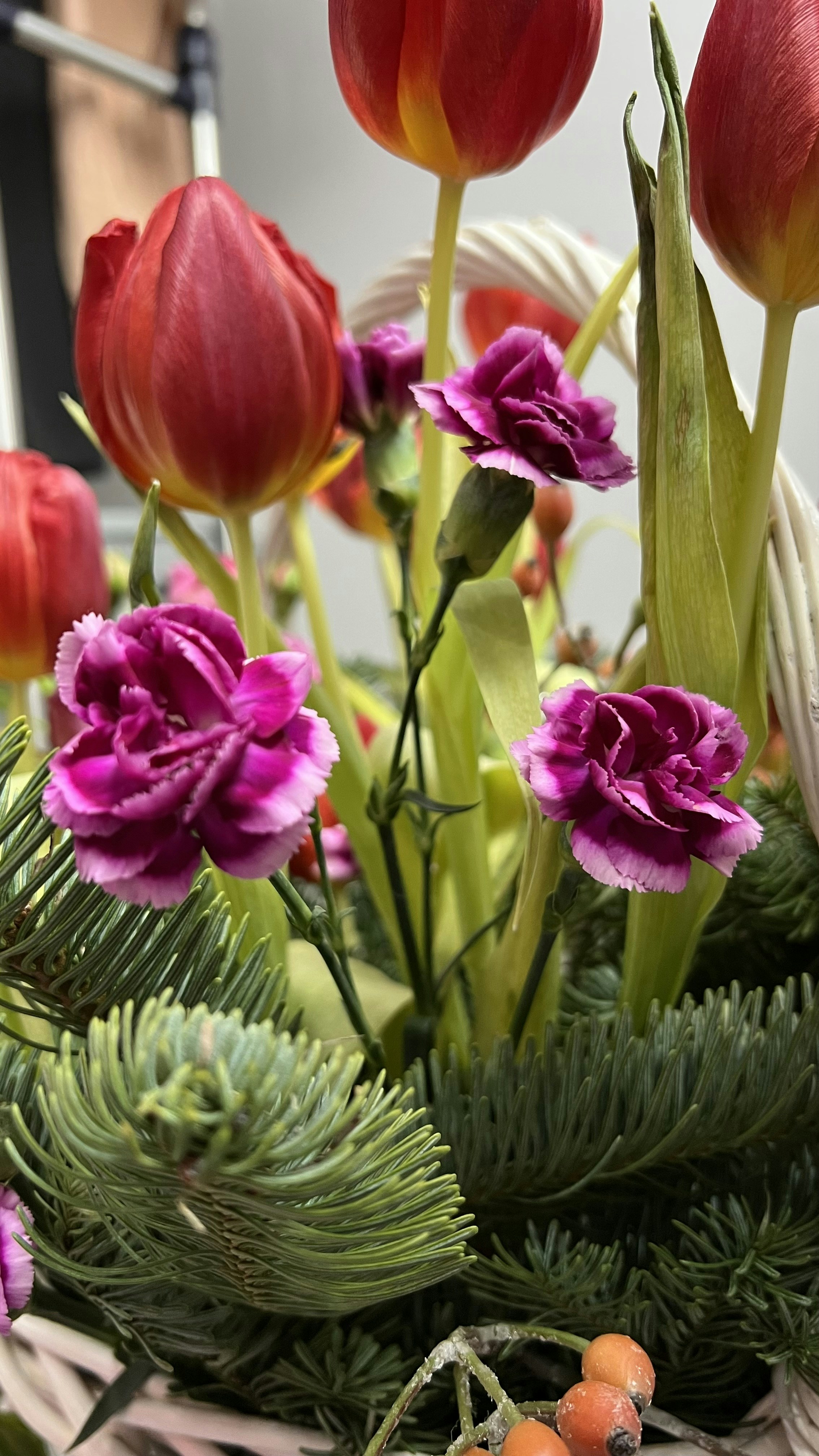 Photo by purplehoney338