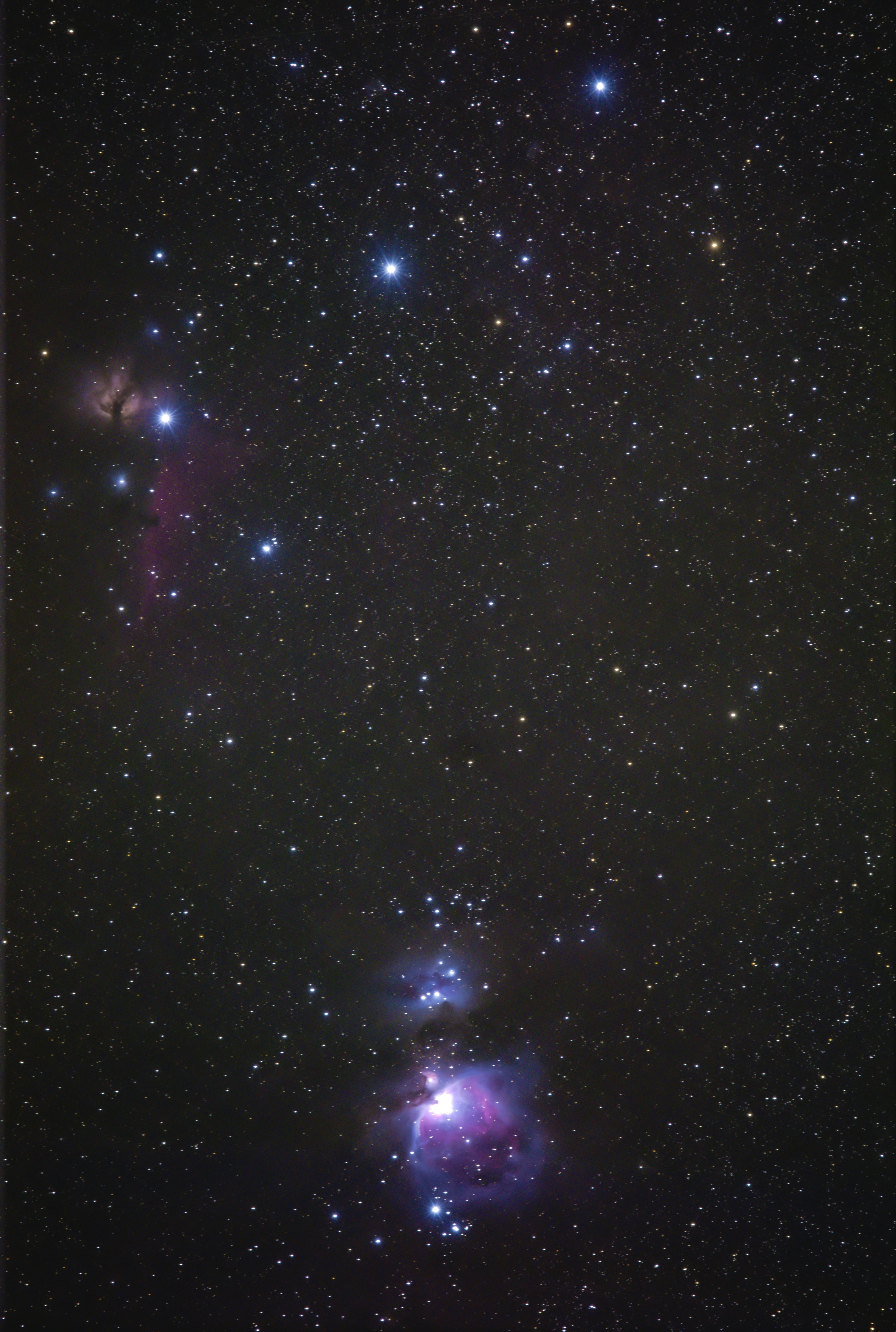 Photo by ginger_behind_the_camera