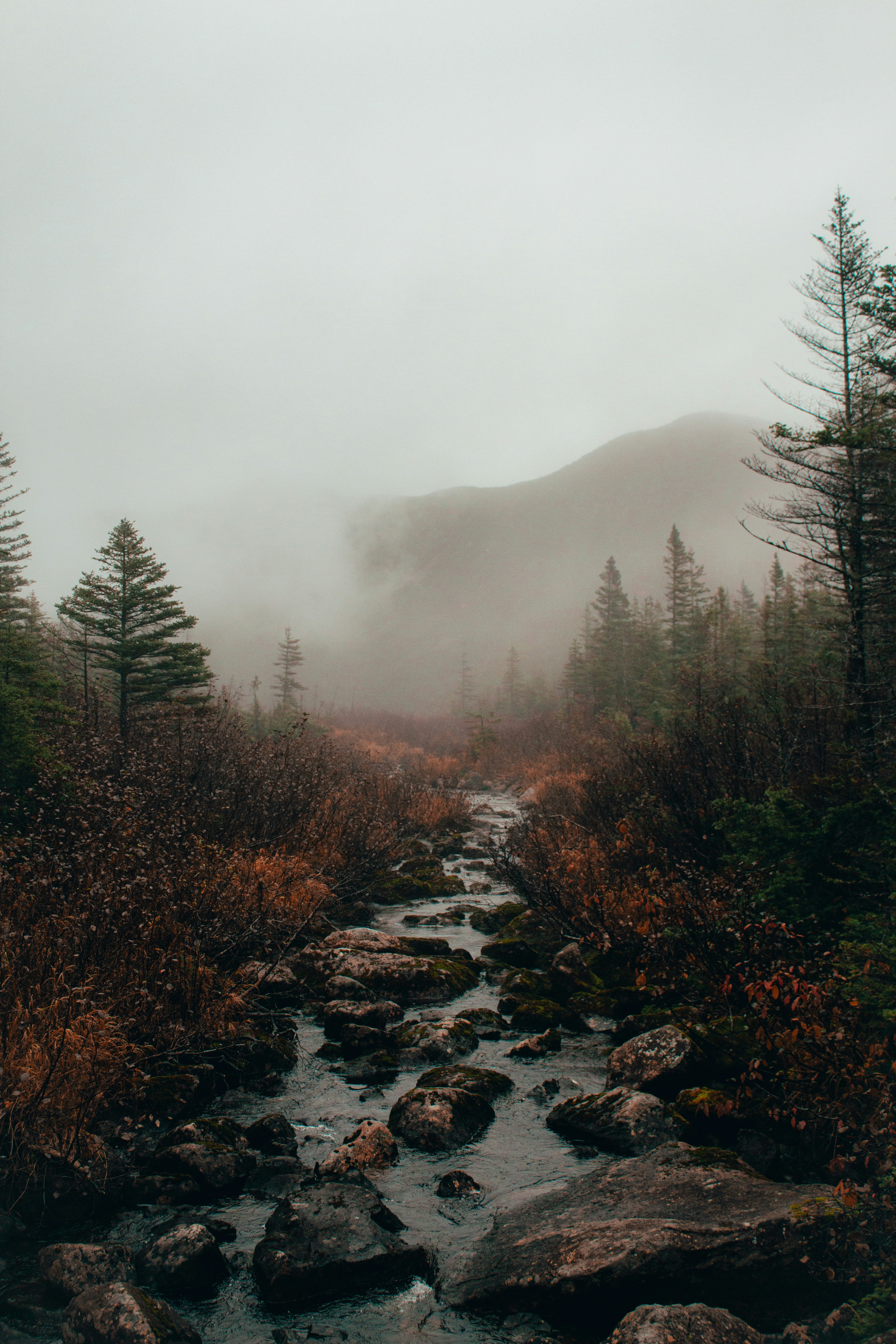 Photo by nathan_morin