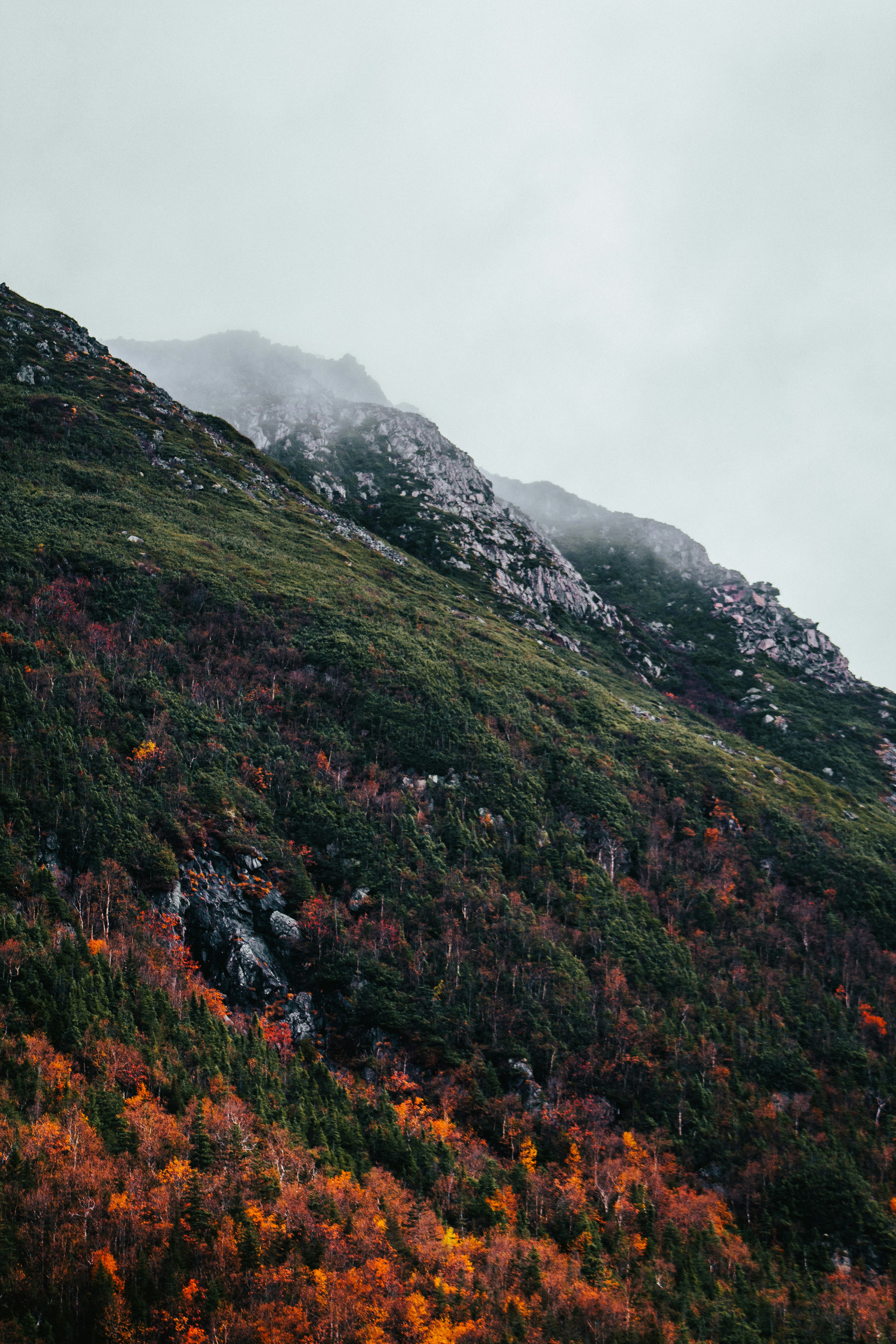 Photo by nathan_morin