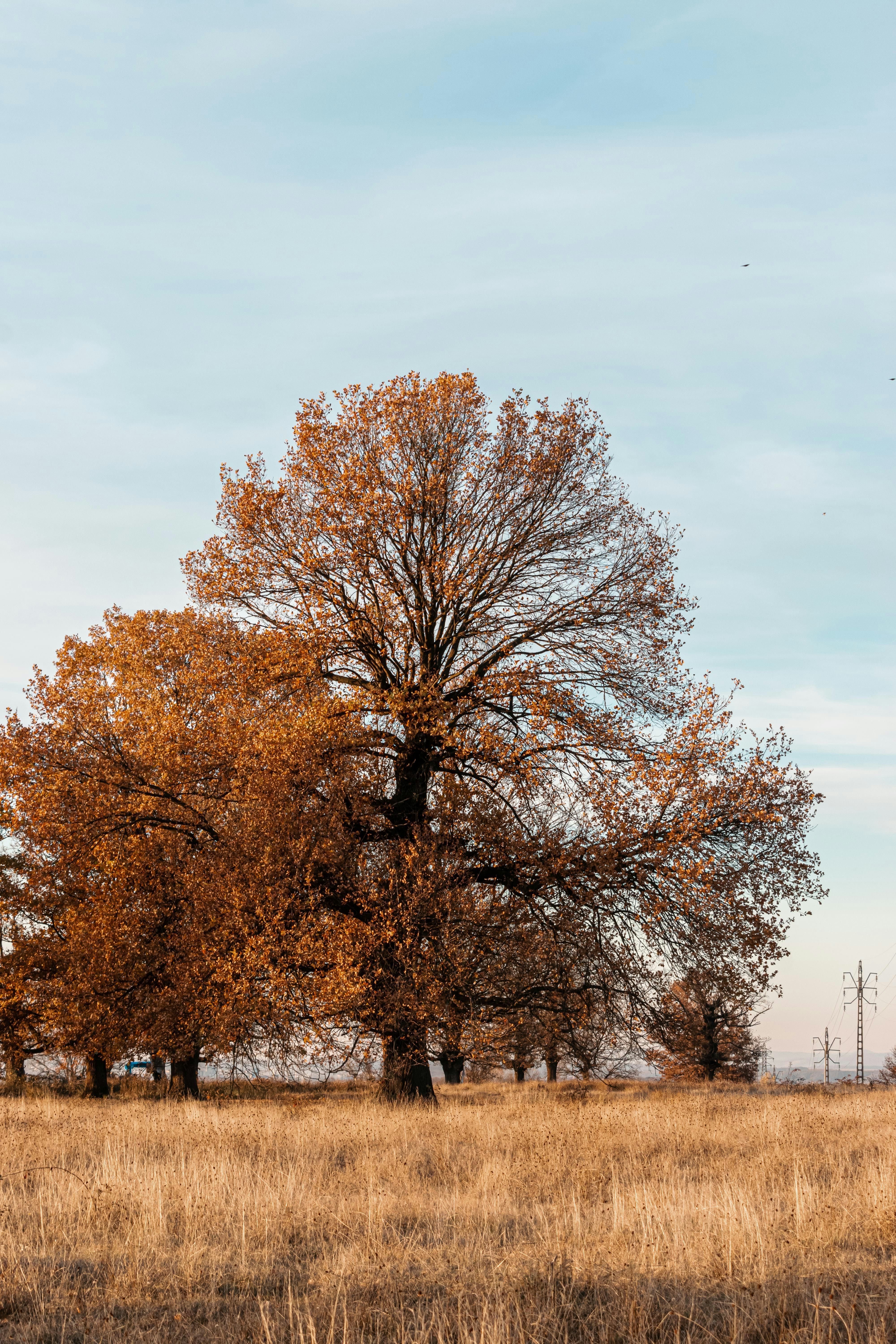 Photo by ioanaindrephotography