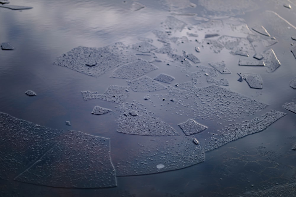 a close up of water droplets on a surface