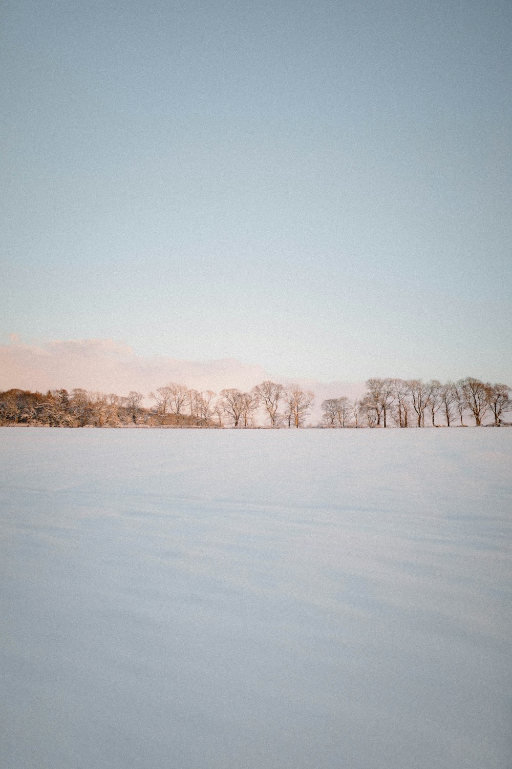 a person riding skis on a snowy surface