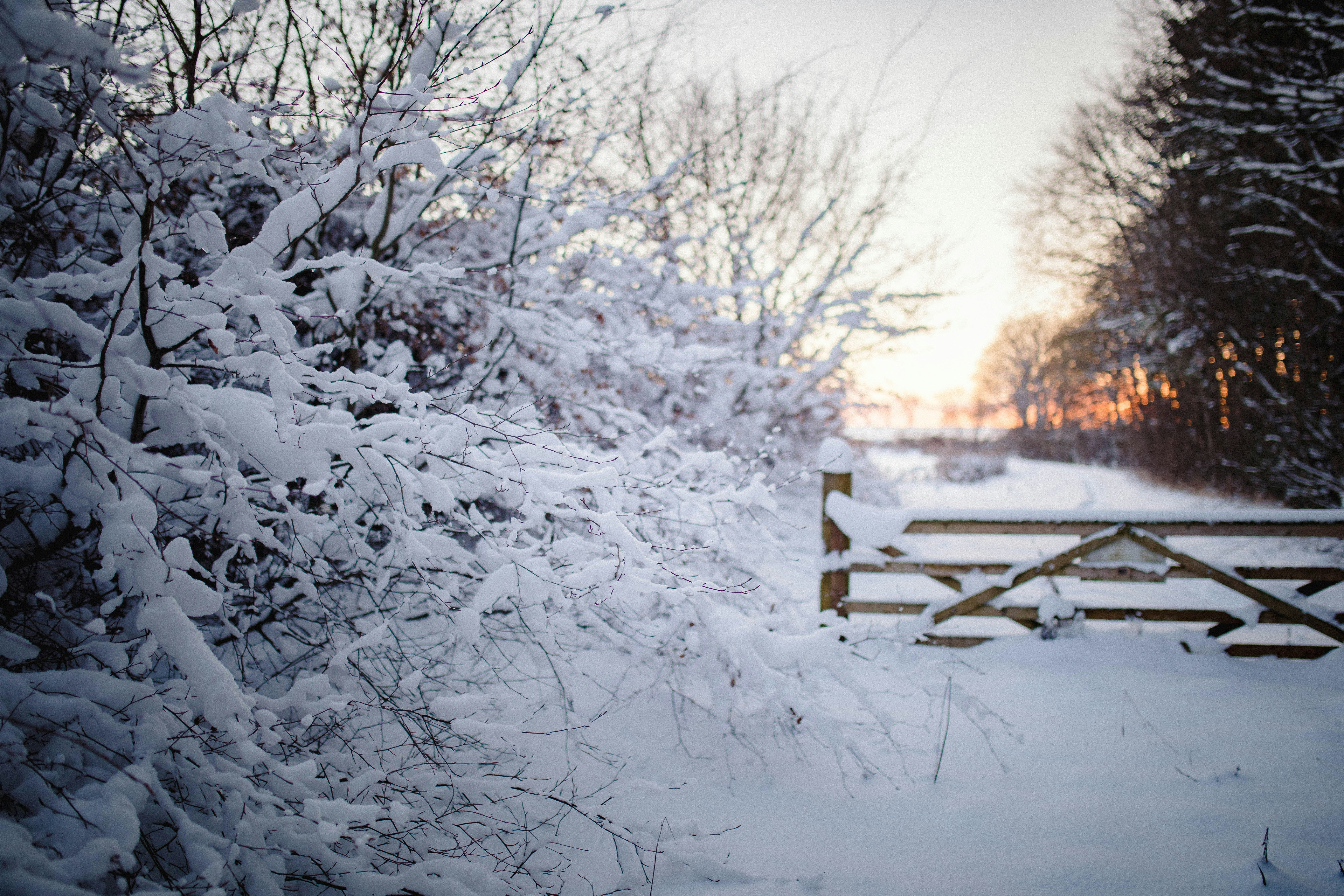 Photo by aleksandraboguslawska