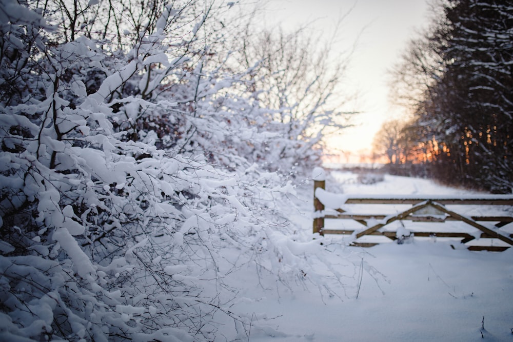 a snow covered field with a fence and trees