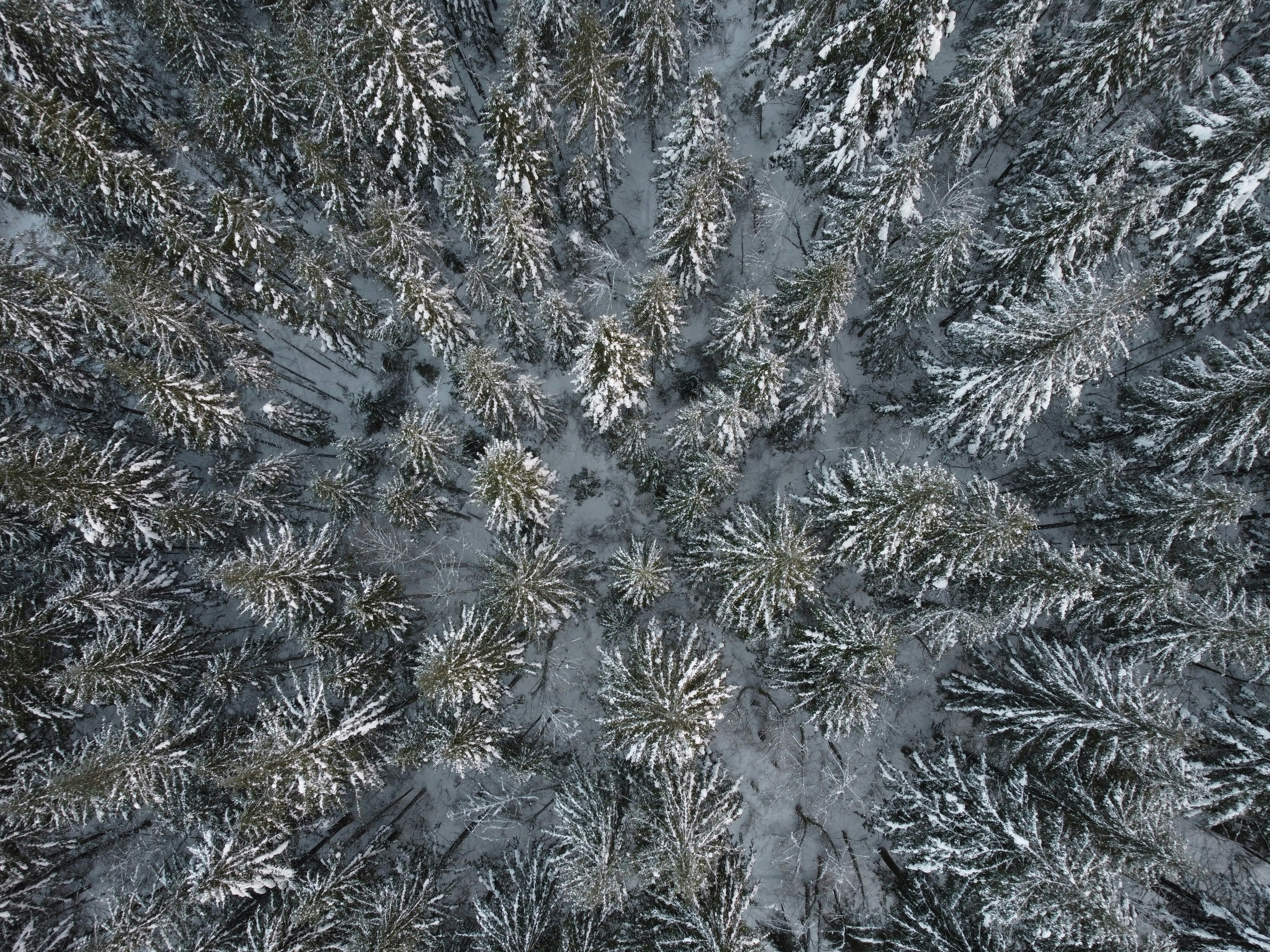 Photo by elian_sarkinen