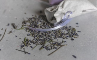 Dried lavender buds are scattered on a light gray surface, next to an open white cloth sachet with a purple ribbon. The contrast between the delicate lavender color and the neutral background creates a serene and natural aesthetic.
