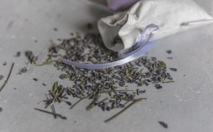 Creating a Website for Your Lavender Organic Store