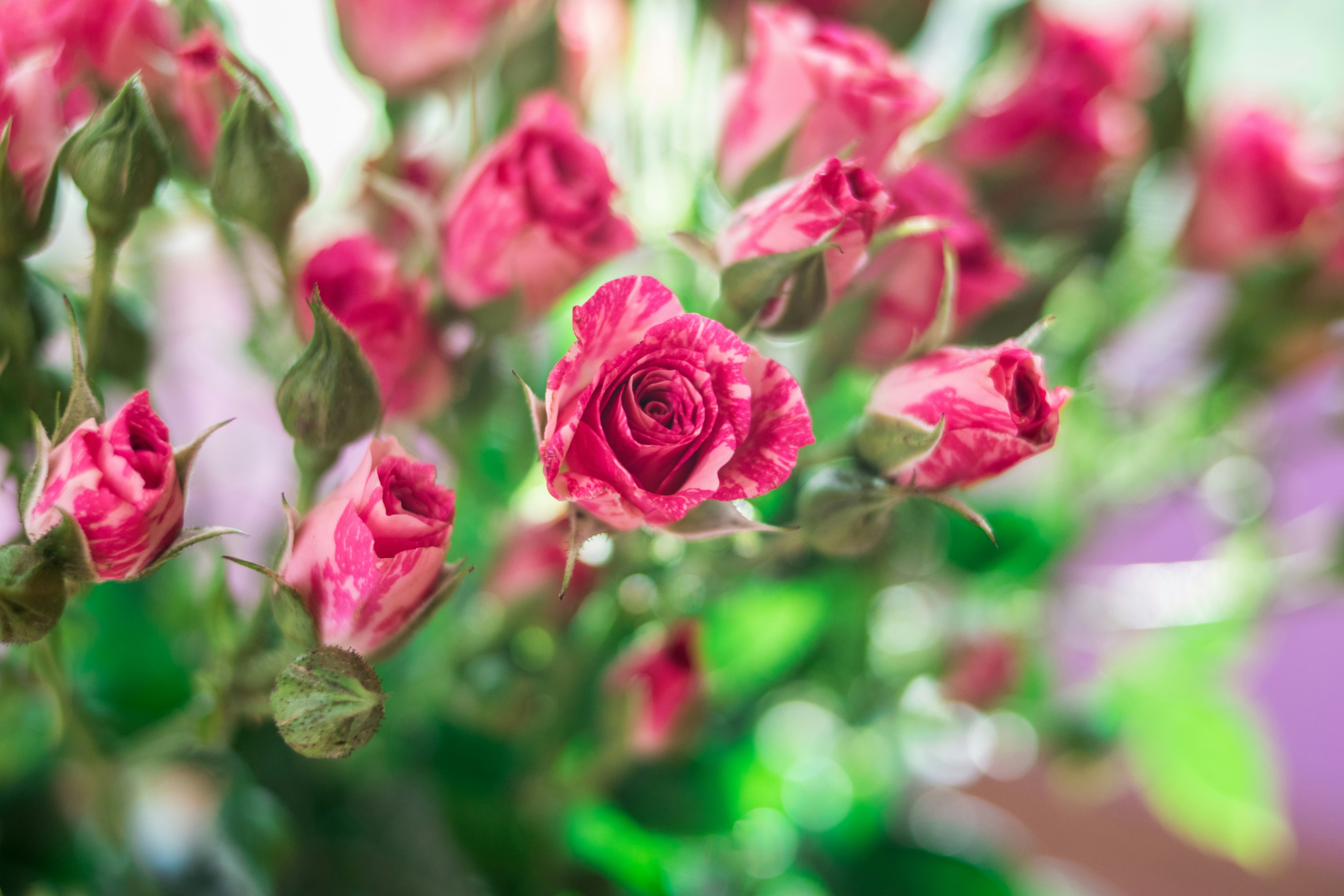 Photo by valerie_sidman