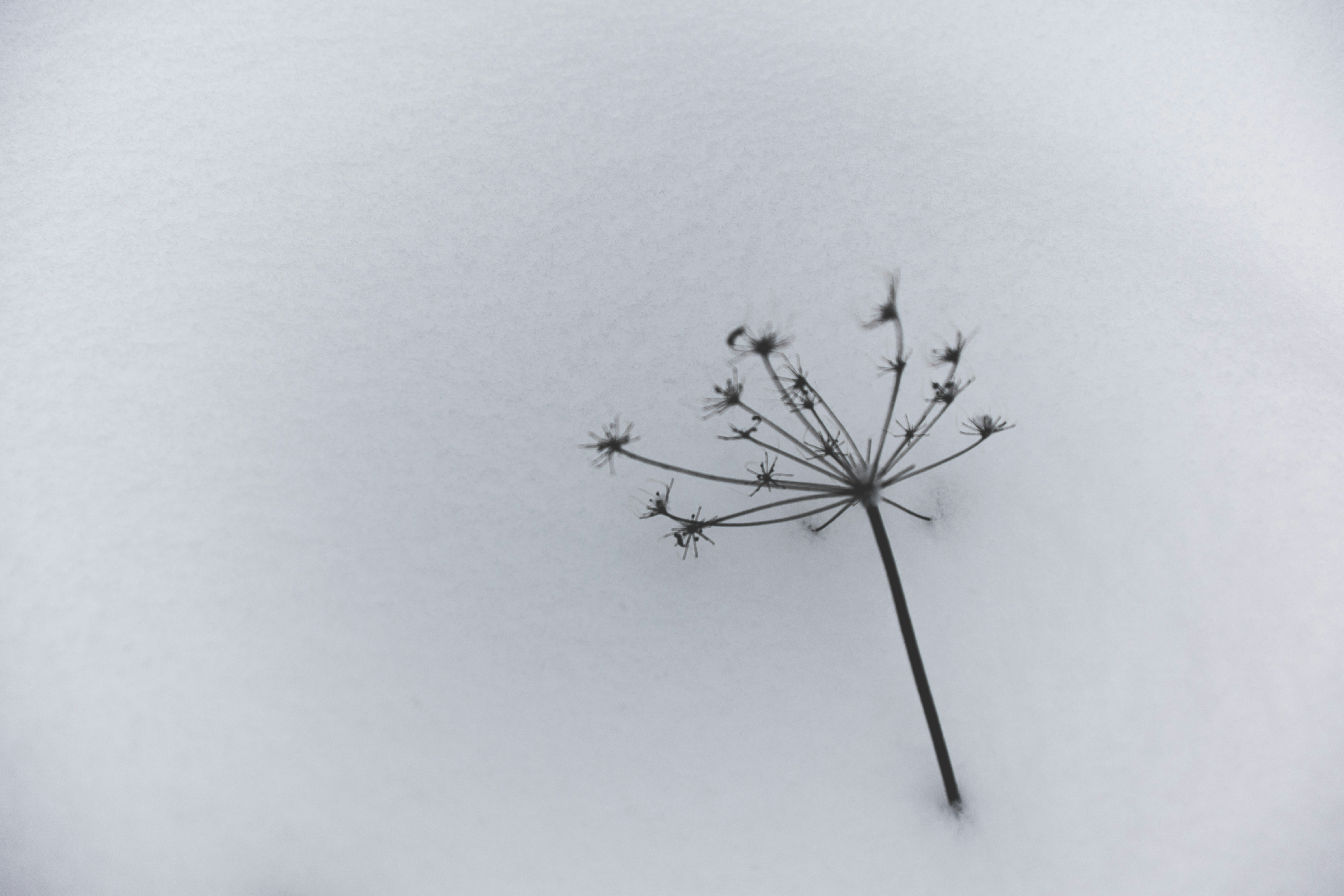 Photo by valerie_sidman