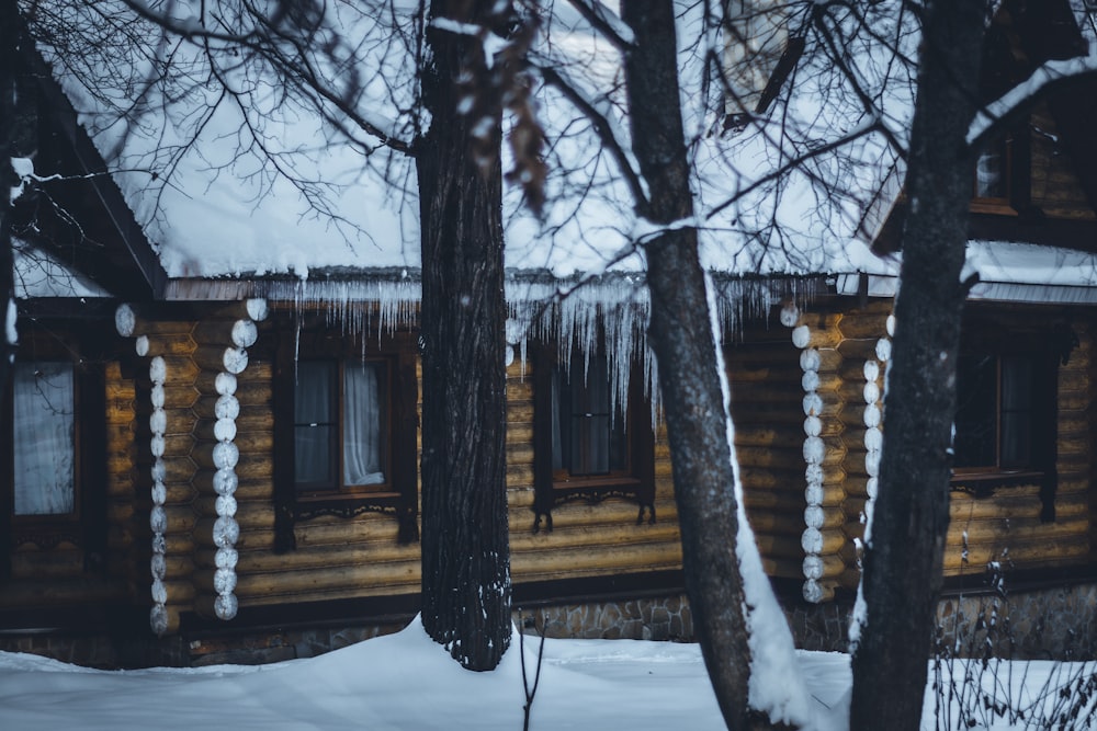 a log cabin in the woods with snow on the ground