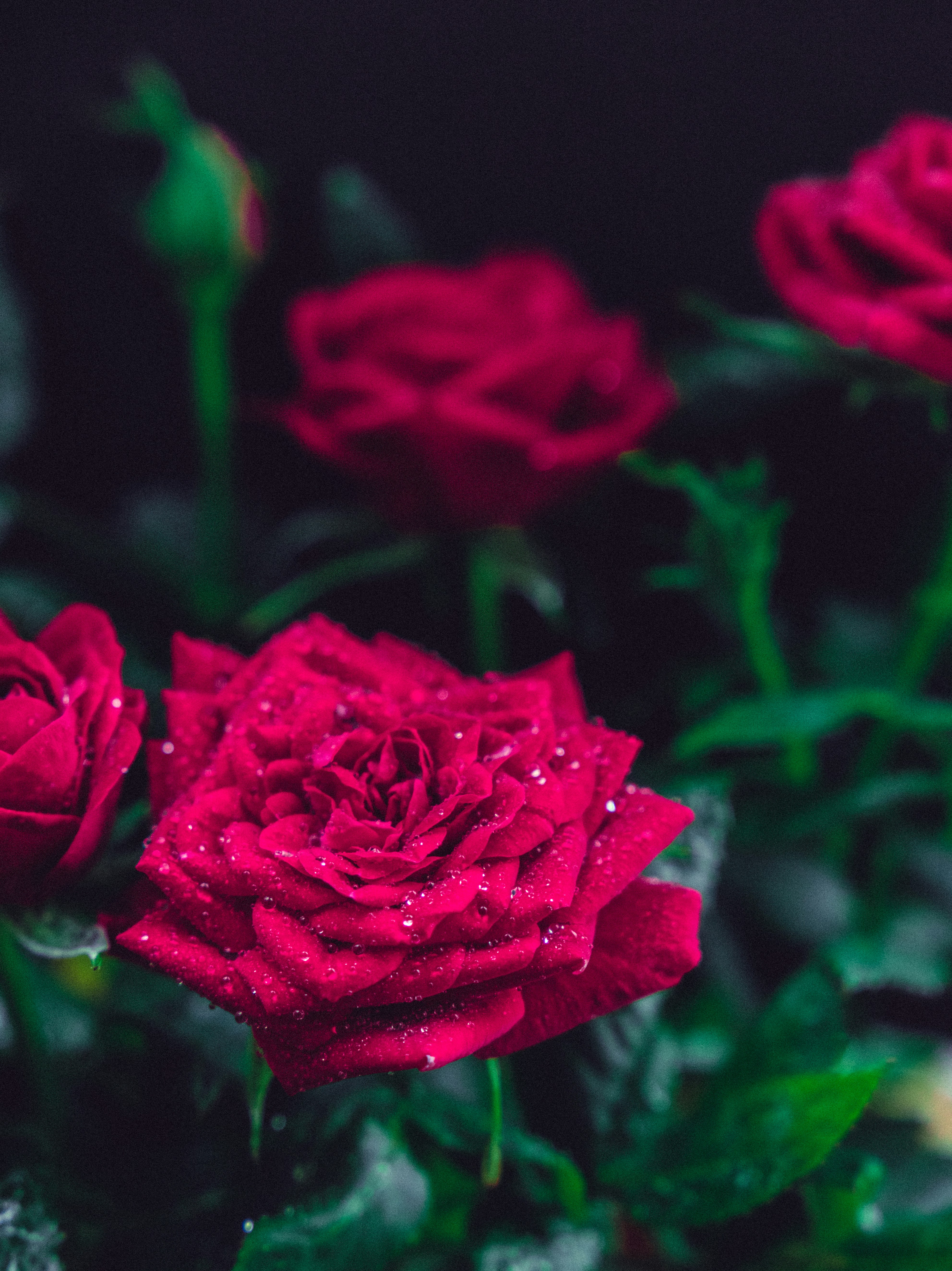 Photo by valerie_sidman