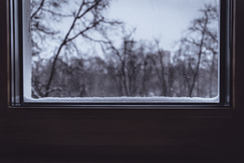 a window with a snowy view of trees outside