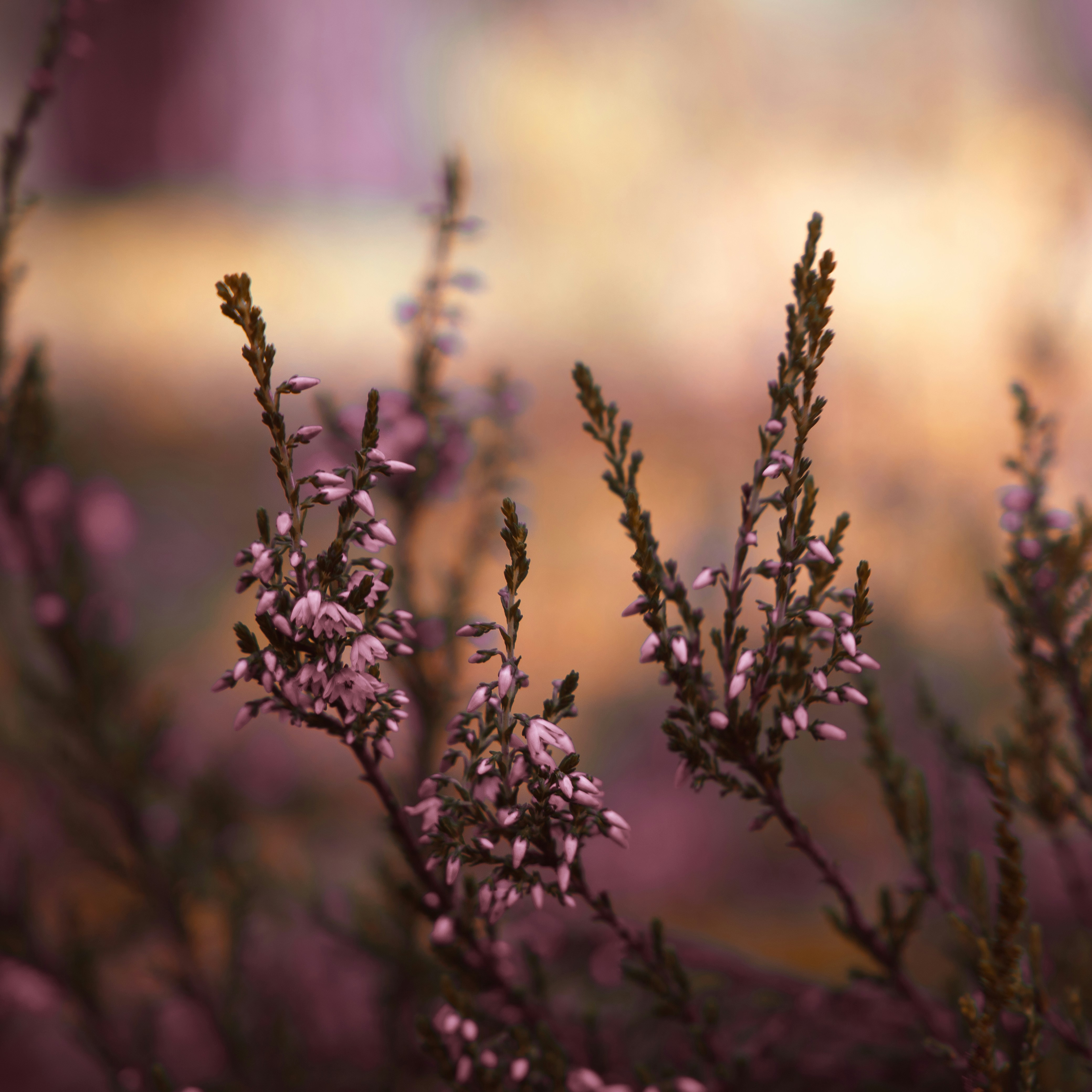 Photo by valerie_sidman