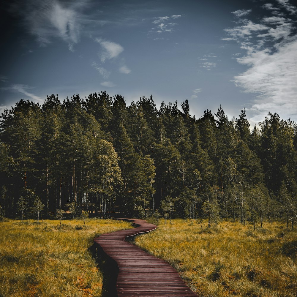 a path in the middle of a field with trees in the background