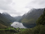 A serene landscape featuring a fjord surrounded by lush green valleys and towering mountains partially covered in snow. A cruise ship is visible in the fjord, and small villages are nestled below the mountains. The sky is overcast, adding a moody and peaceful atmosphere.