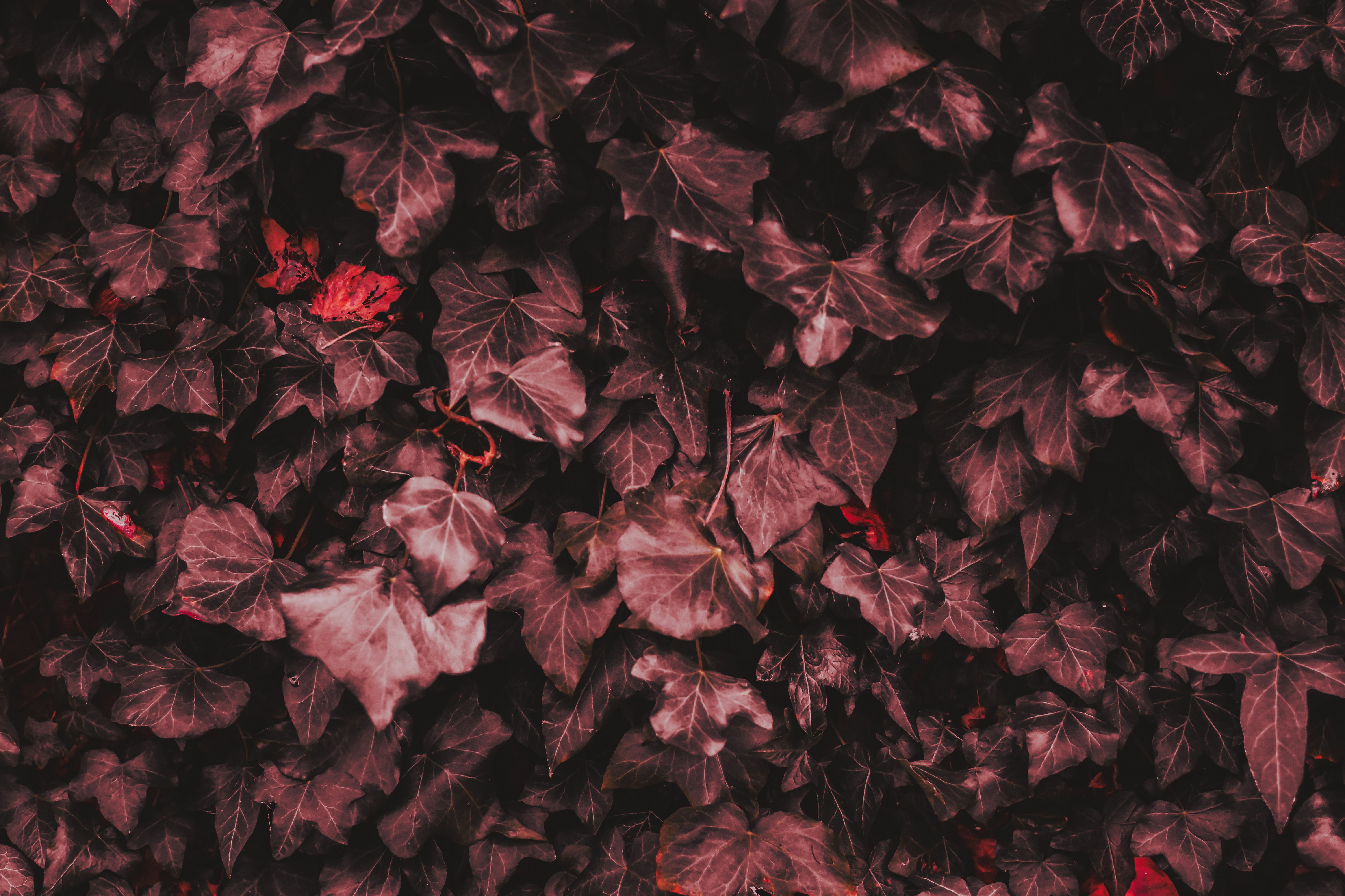 Photo by elliottmason