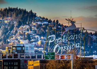 The city of Portland with a mountain in the background