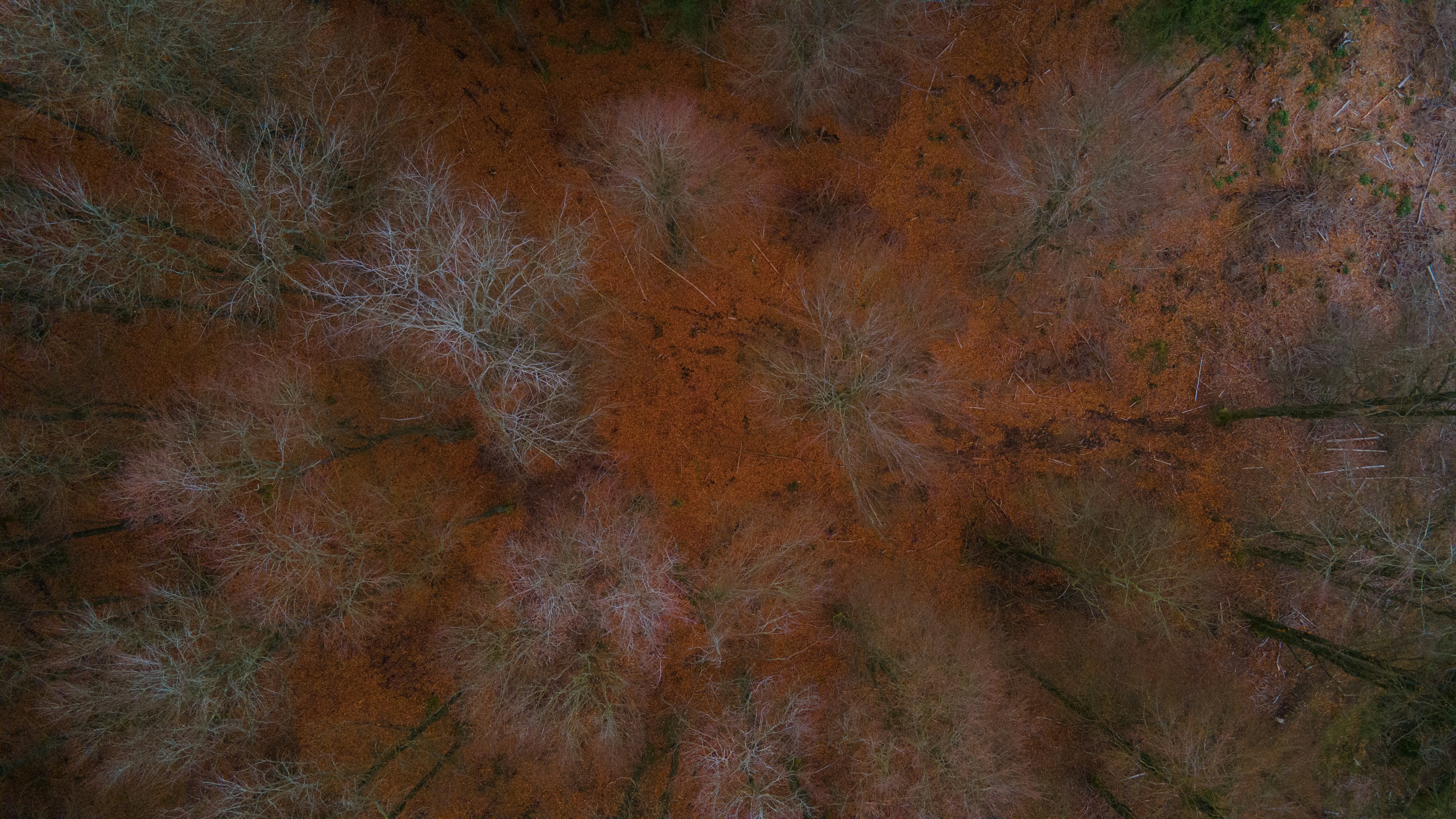 Photo by guillaumevdn