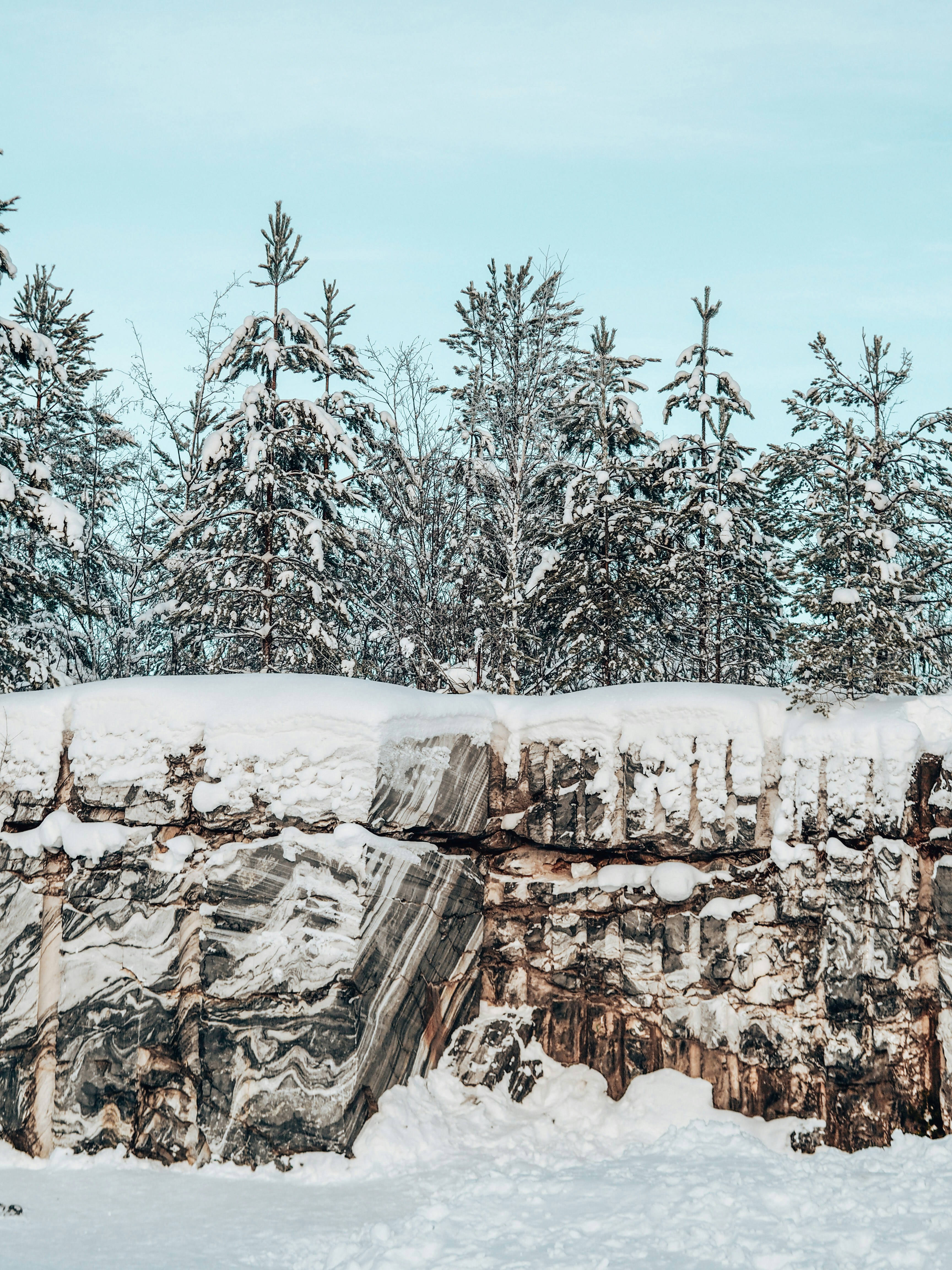 una pared de roca cubierta de nieve con árboles en el fondo