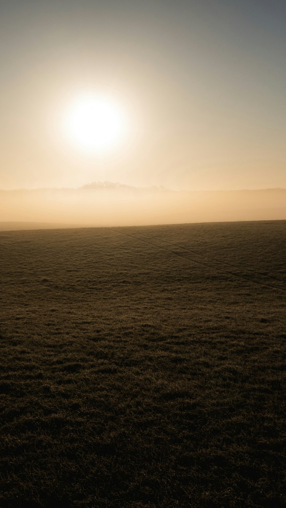 the sun is setting over a field of grass