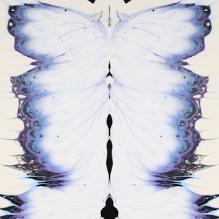 a picture of a white butterfly with blue wings