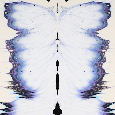 a picture of a white butterfly with blue wings