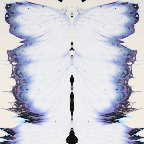 a picture of a white butterfly with blue wings