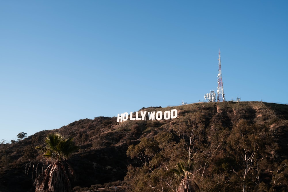 the hollywood sign is on top of a hill