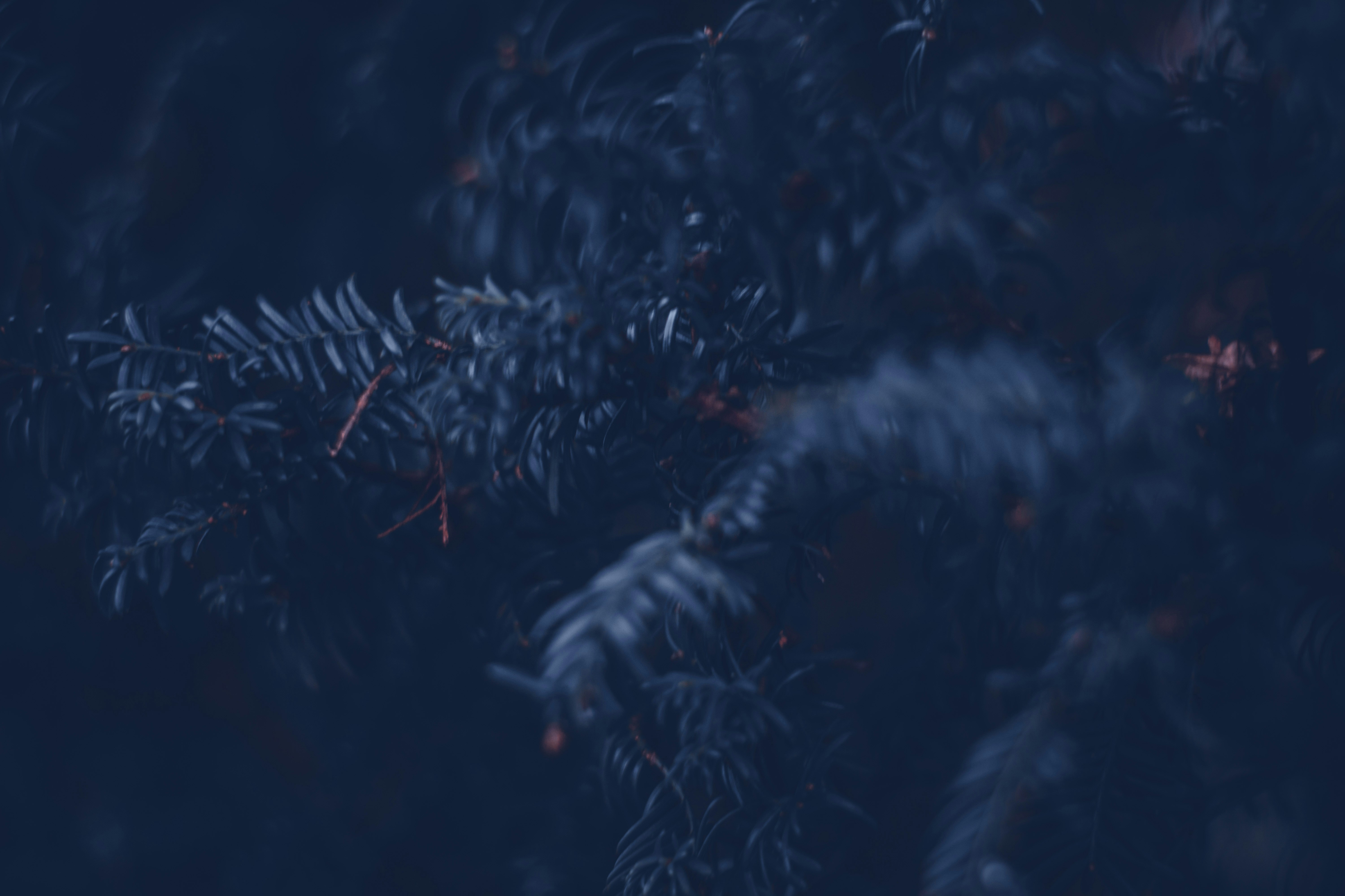 Photo by elliottmason