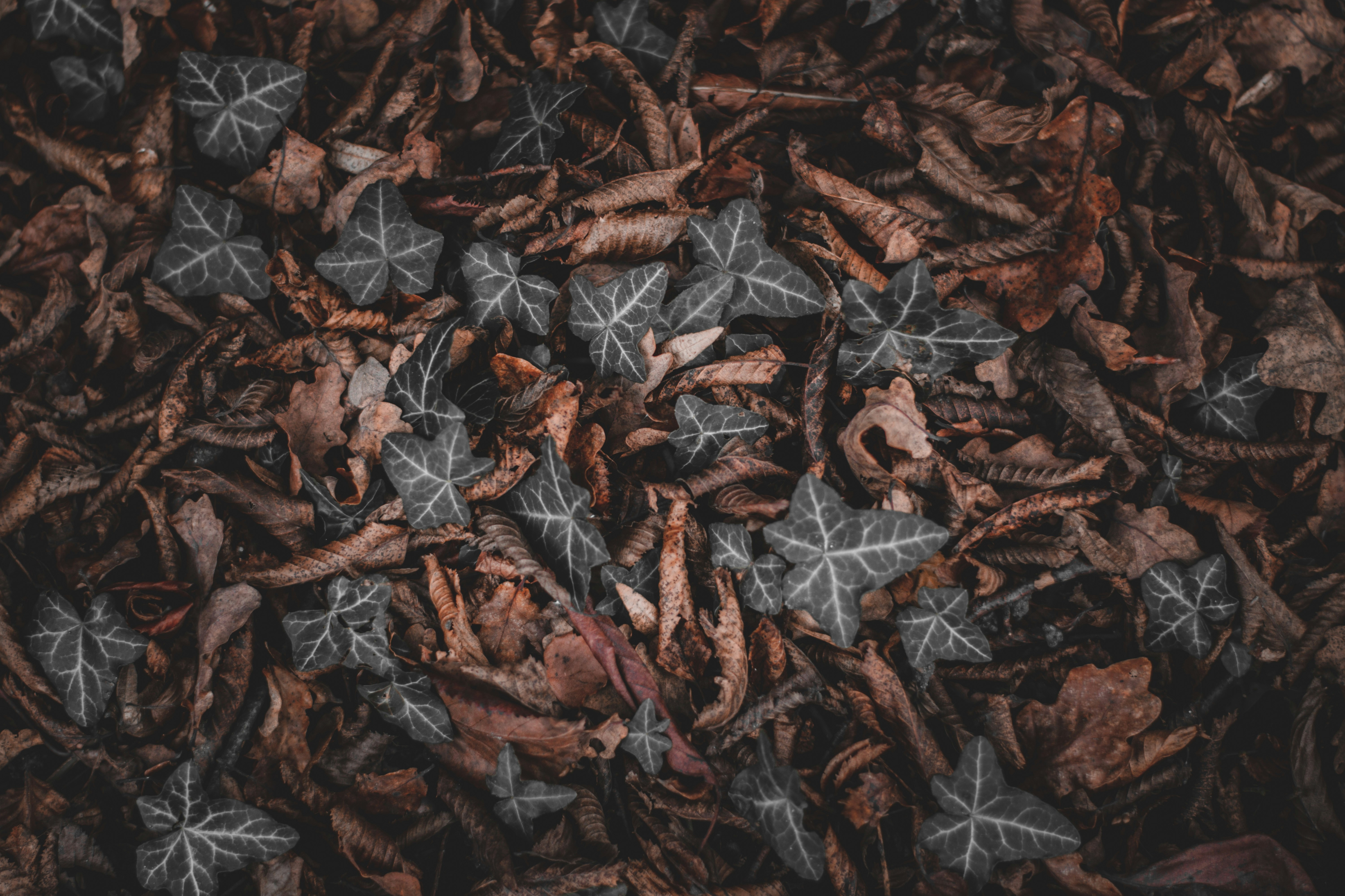 Photo by elliottmason