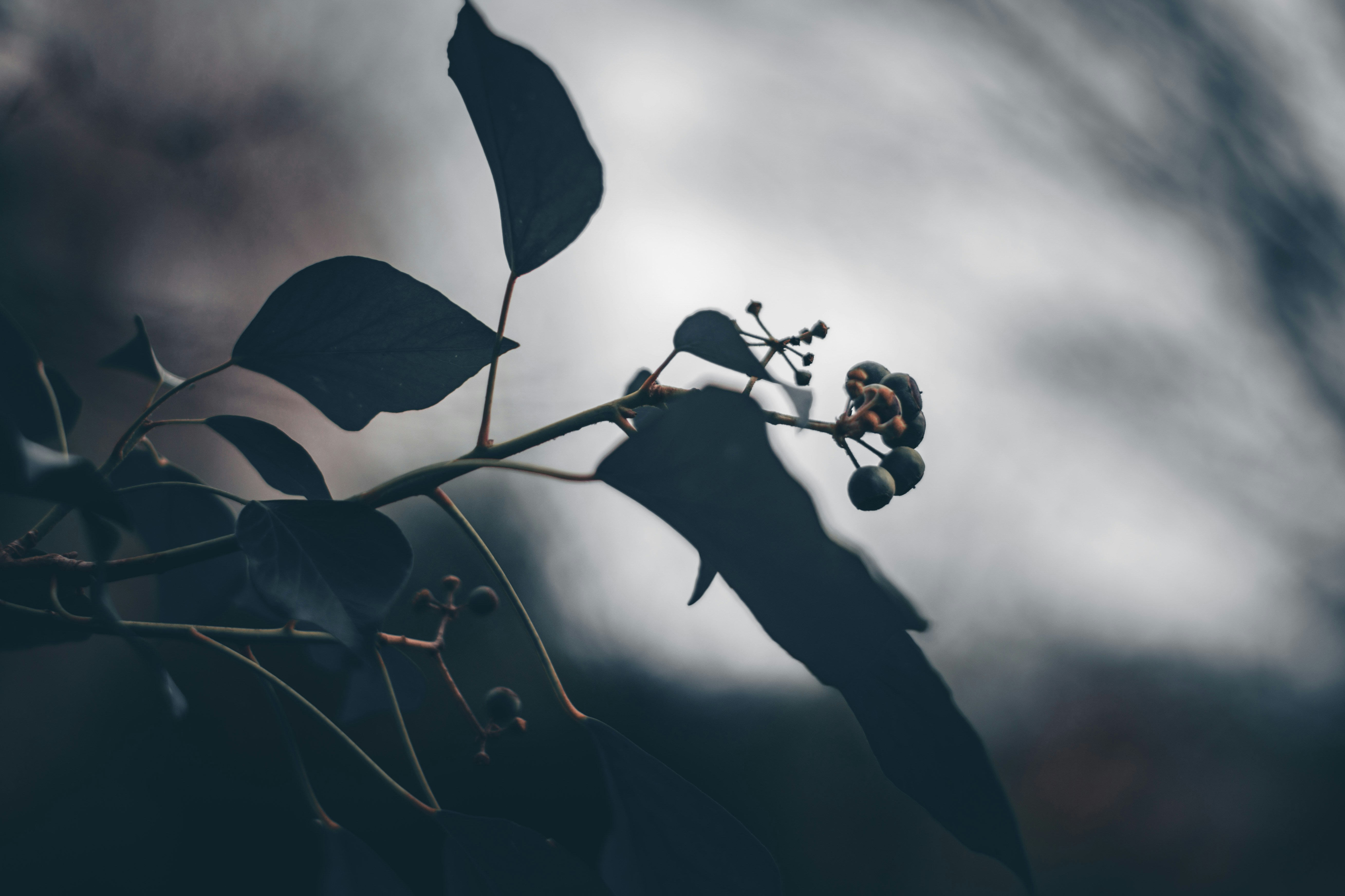 Photo by elliottmason