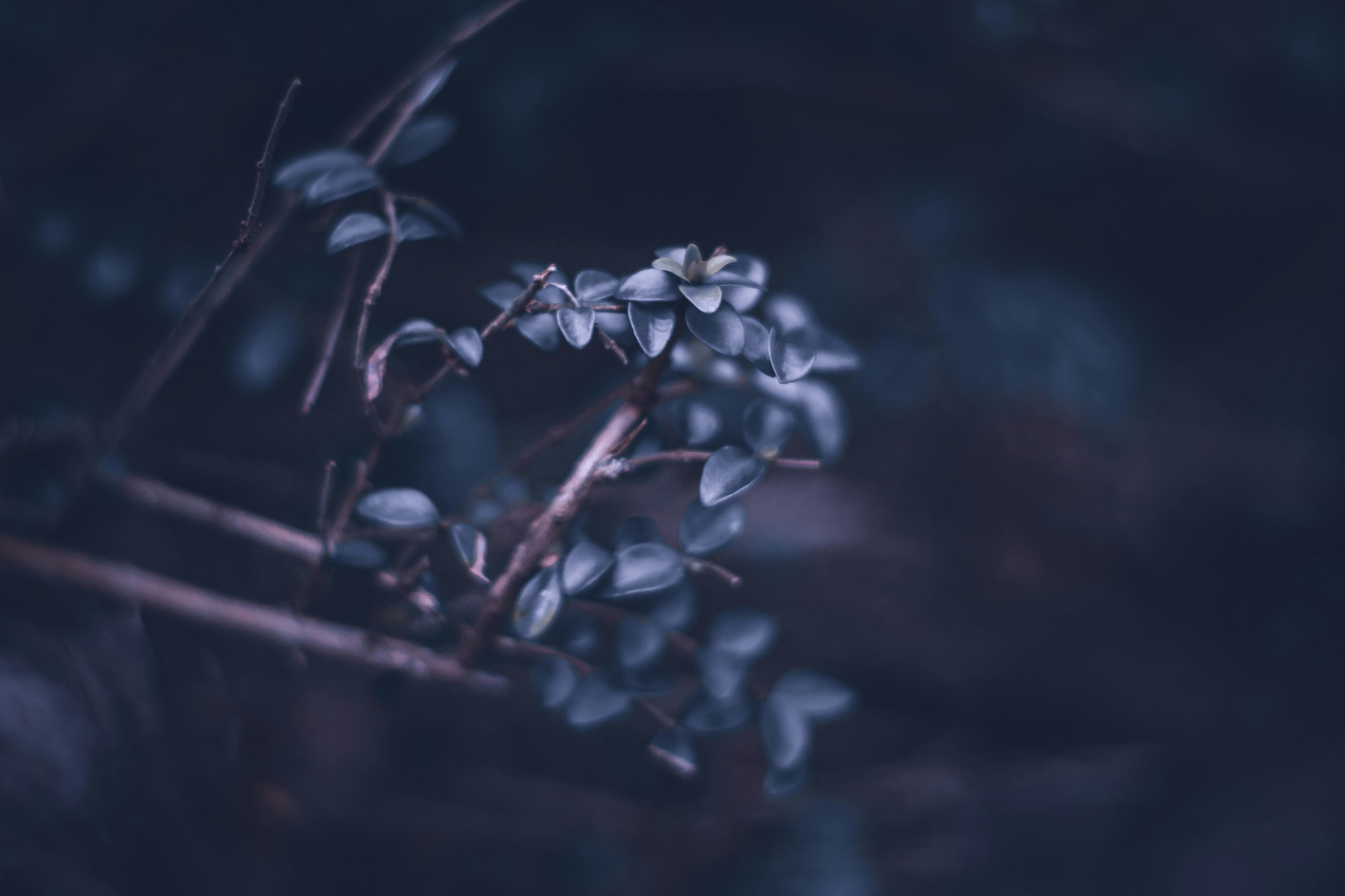 Photo by elliottmason