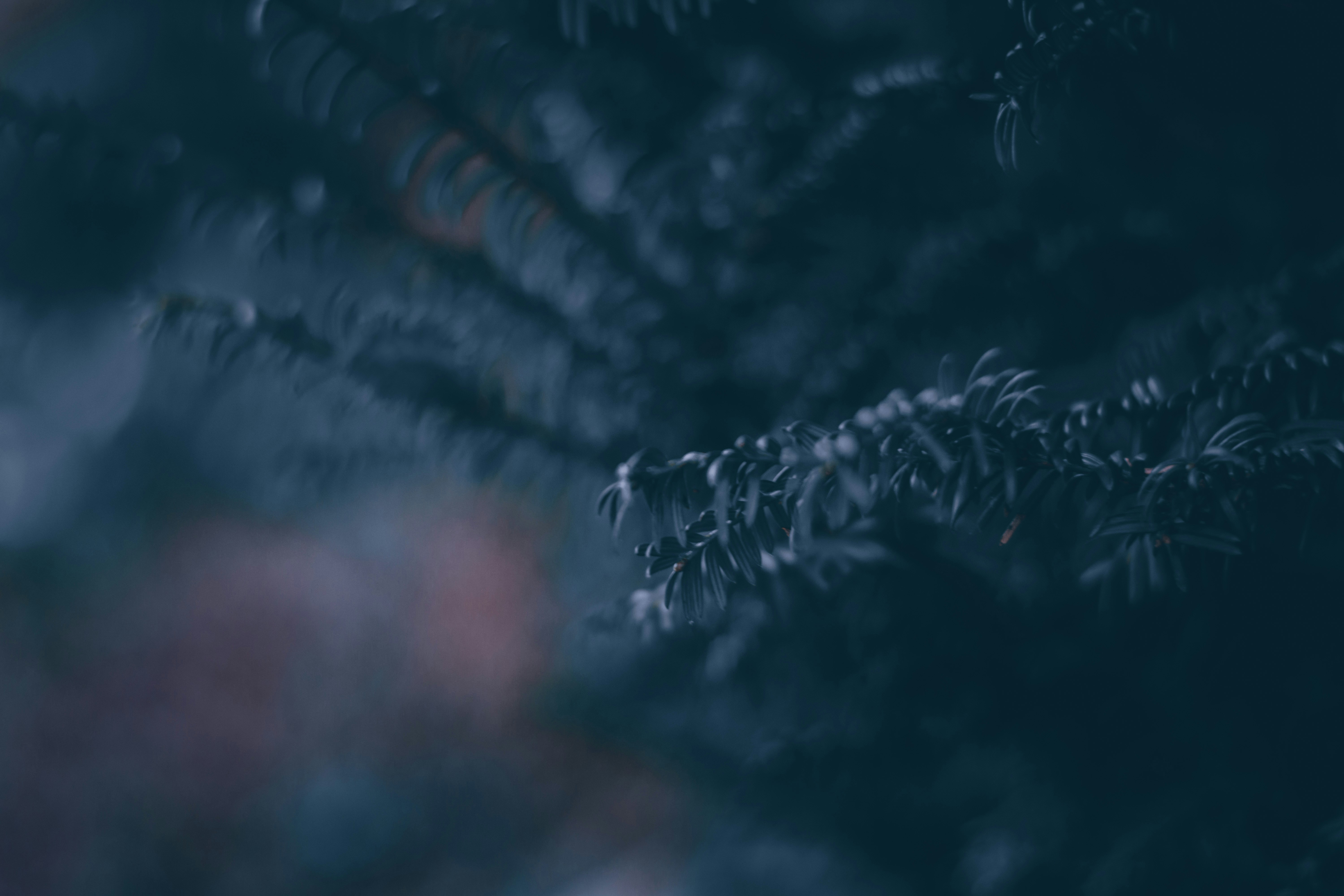 Photo by elliottmason