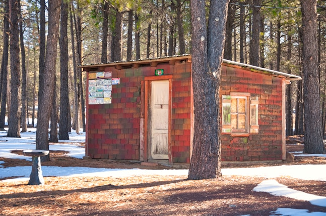 A small, rustic wooden cabin is situated in a forested area during winter. The cabin is adorned with various vintage license plates on its exterior. Snow covers the ground surrounding the cabin, while tall pine trees envelop the structure, casting shadows on the snow.