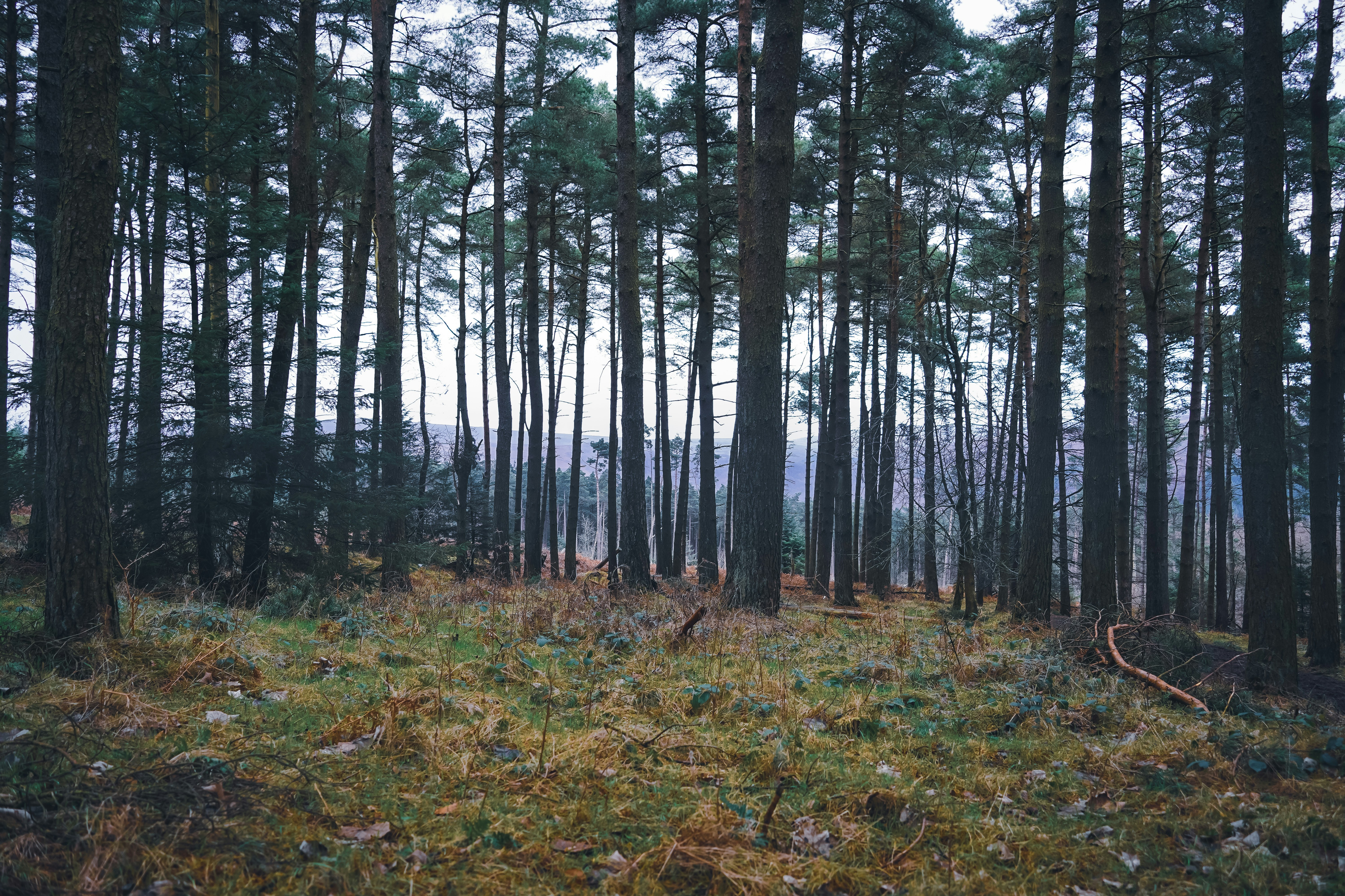 Photo by benjaminelliott