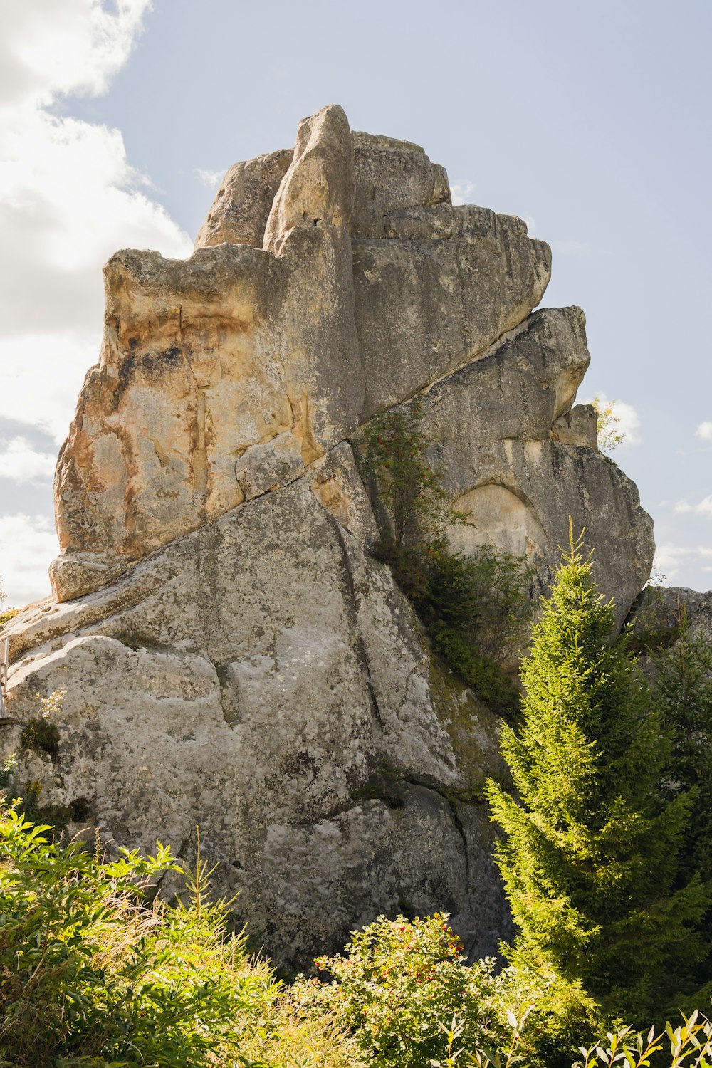 a rocky outcropping with trees and bushes around it