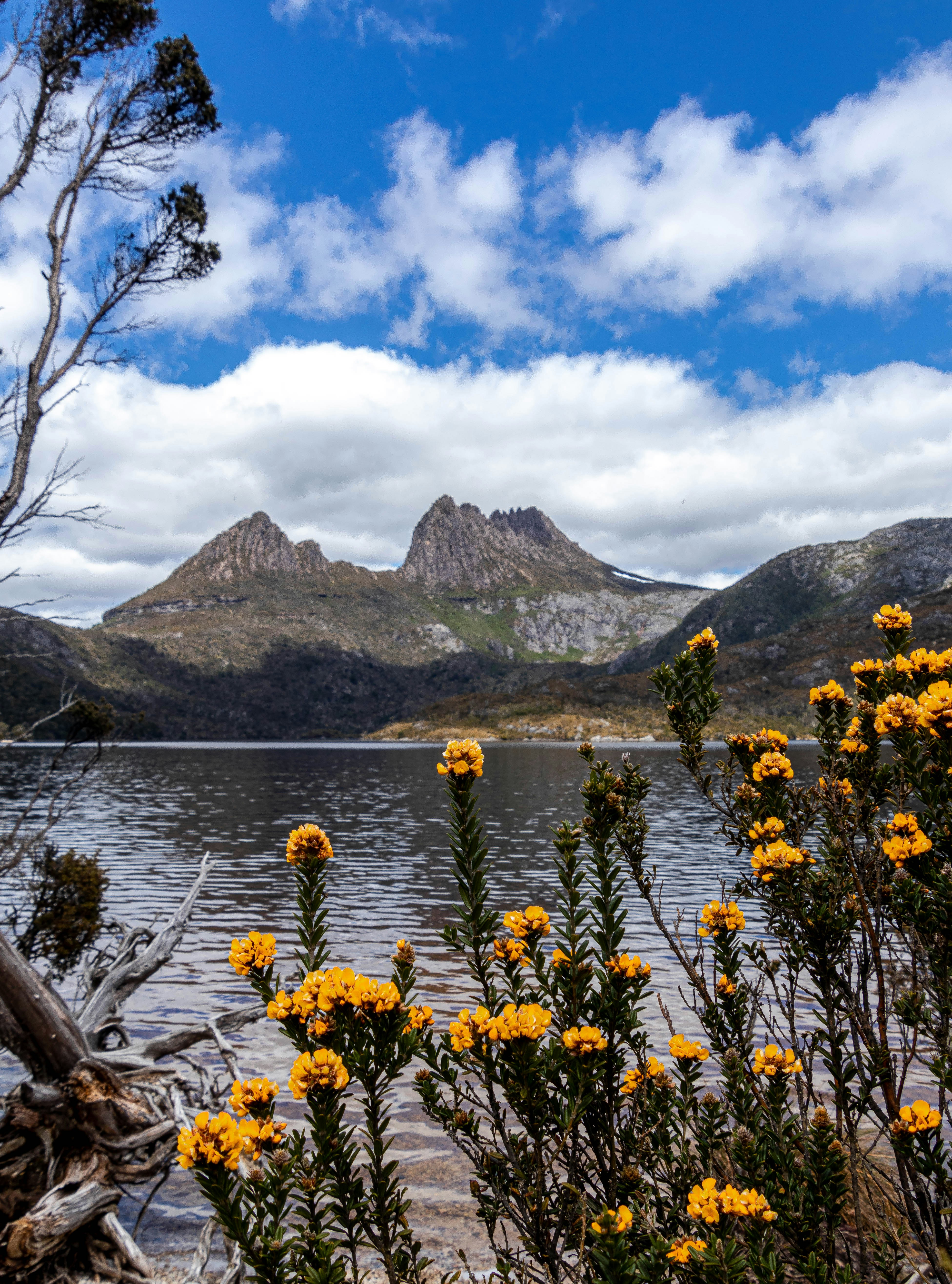 Legana, Tasmania