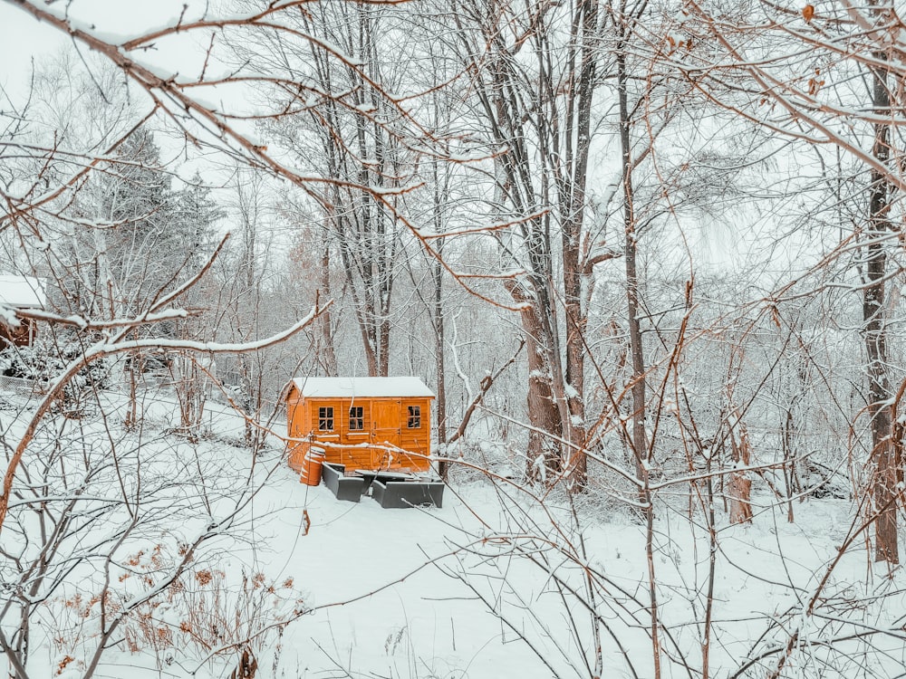 a small orange truck parked in the middle of a forest