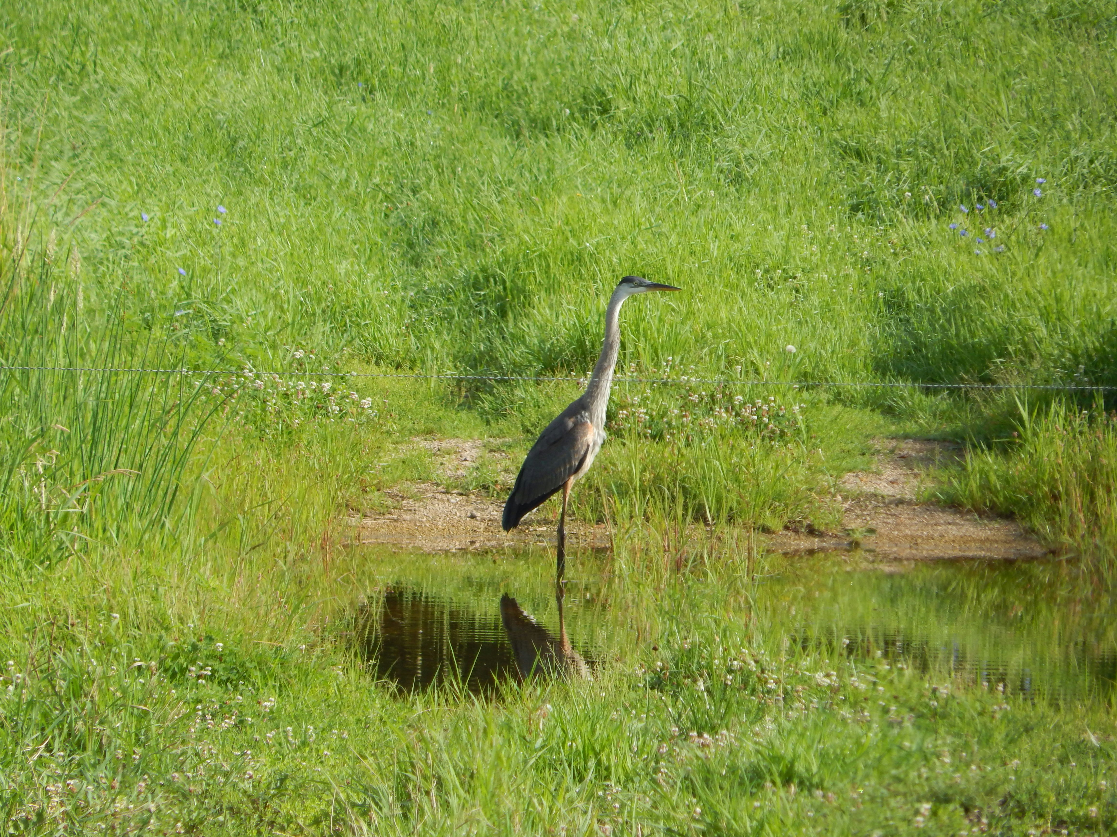 Photo by scarlettweiss