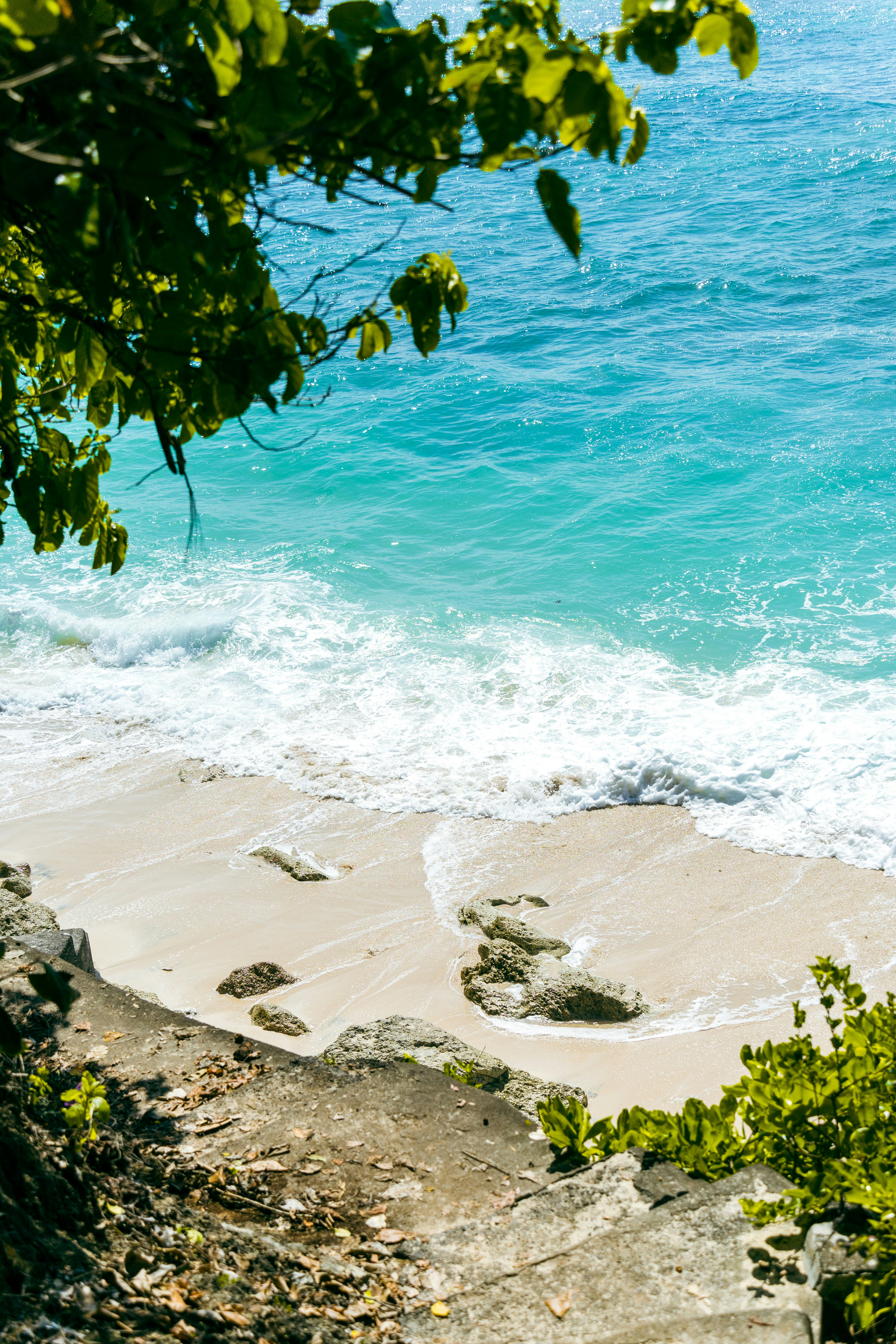 Photo by ayadighaith