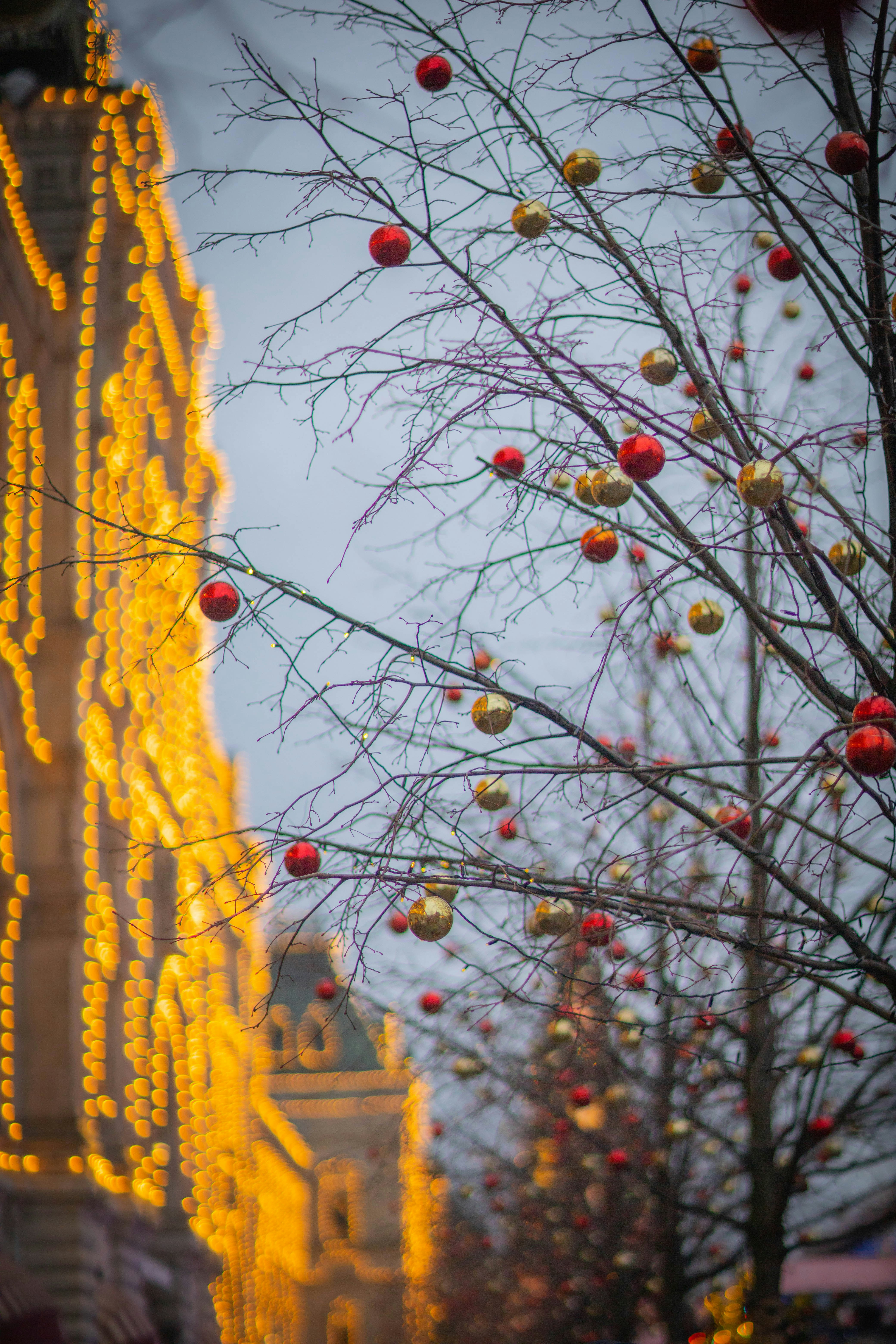 Photo by kuzmila